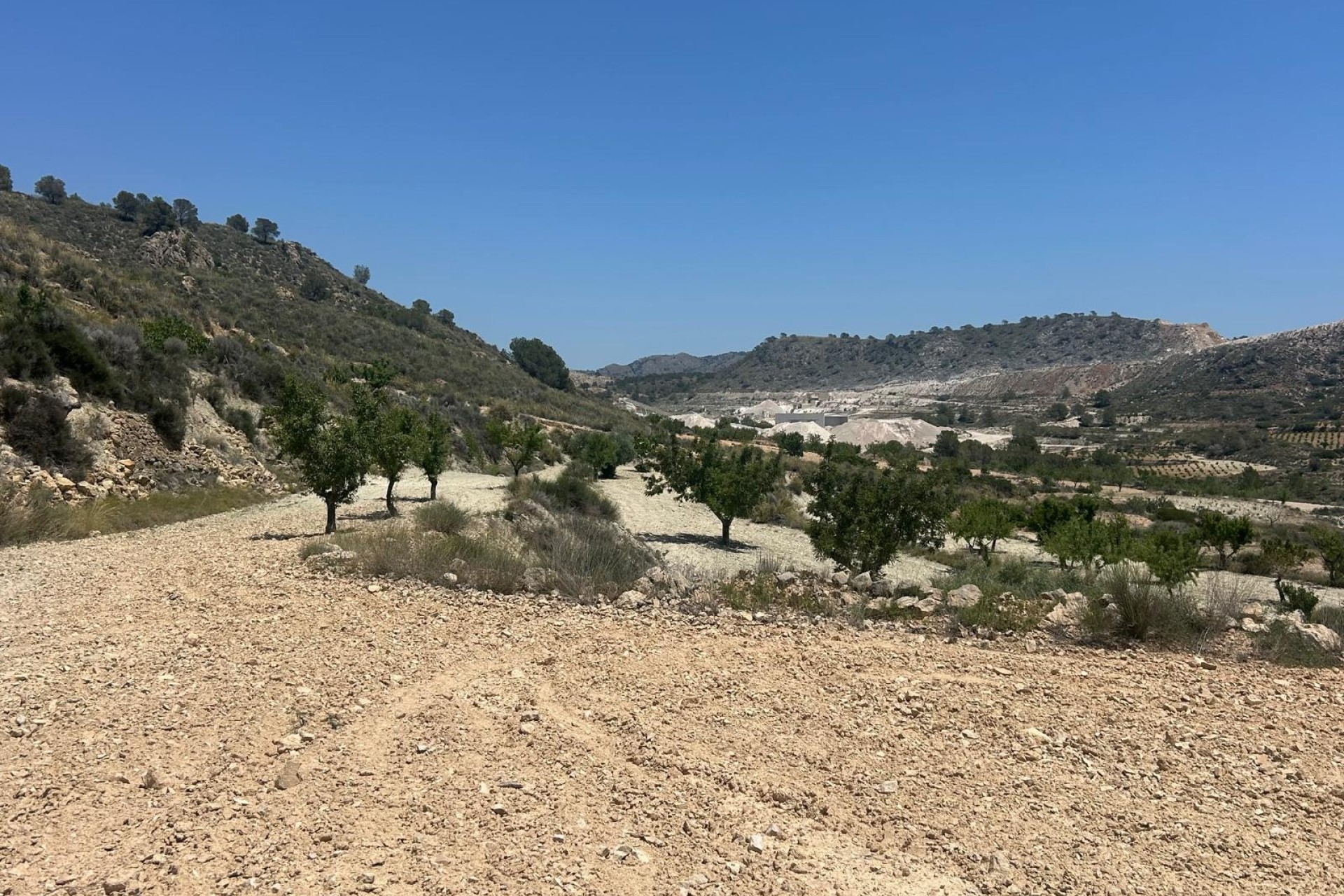 Sale - Finca Country Property -
Abanilla - ABANILLA