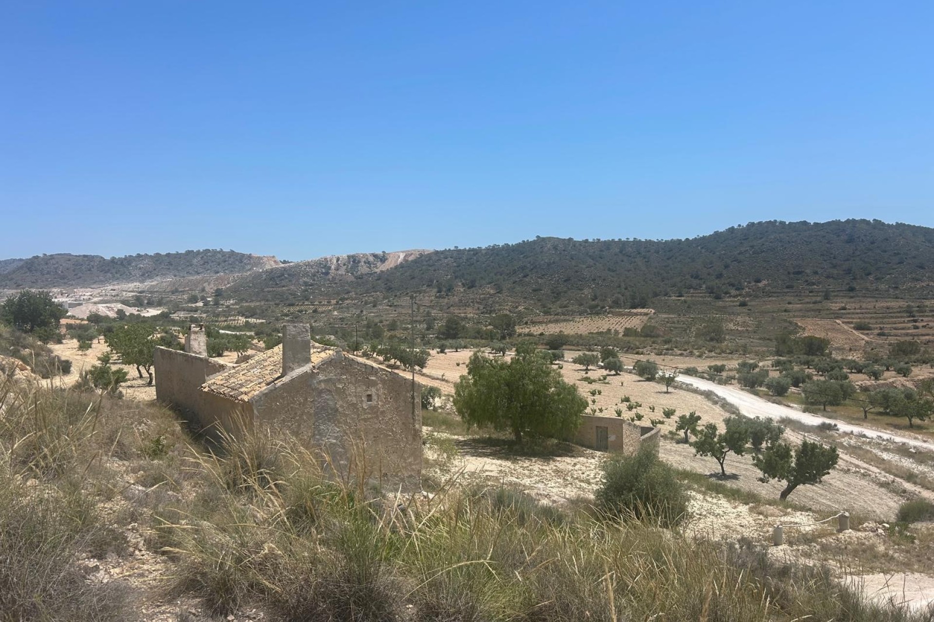 Sale - Finca Country Property -
Abanilla - ABANILLA