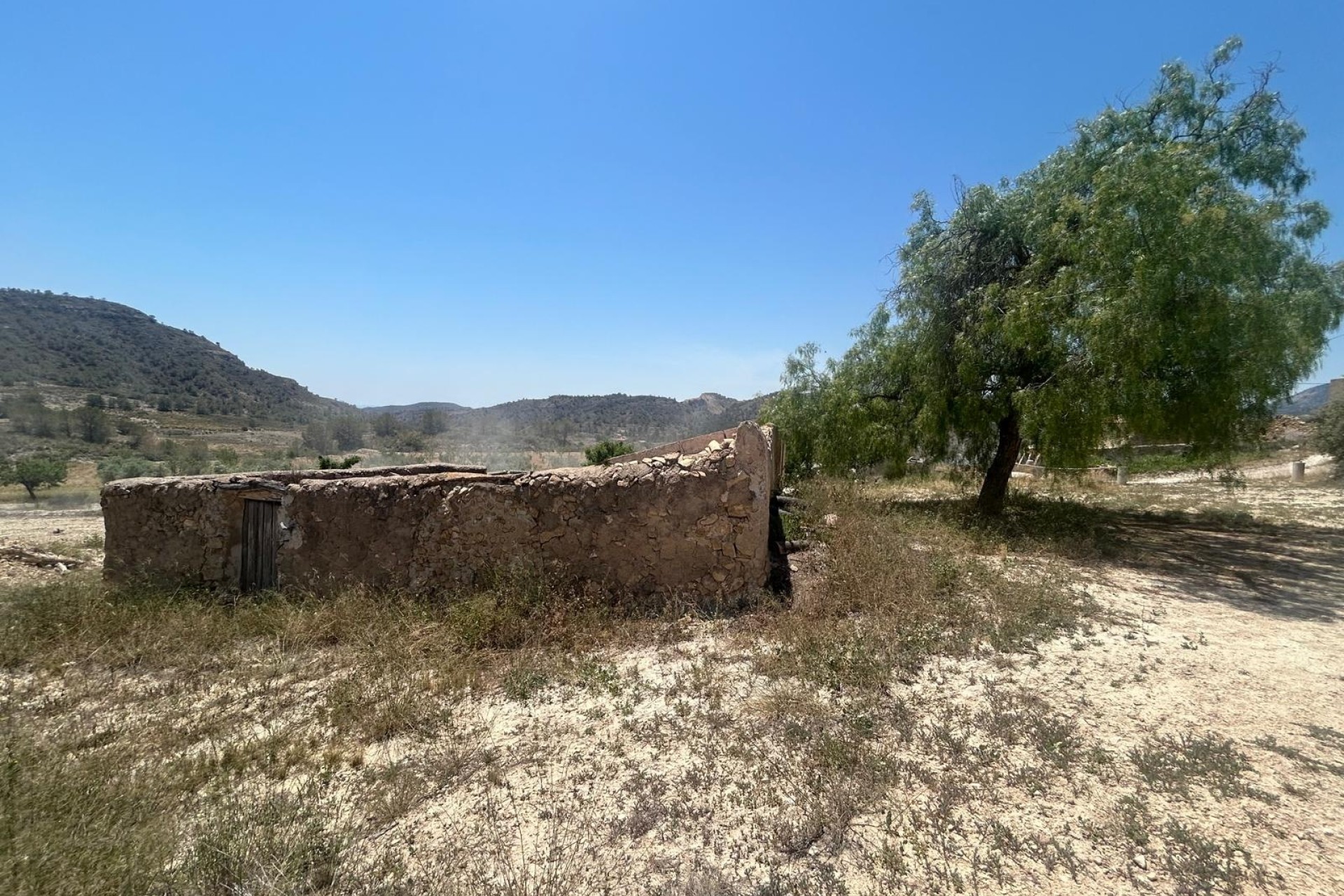 Sale - Finca Country Property -
Abanilla - ABANILLA