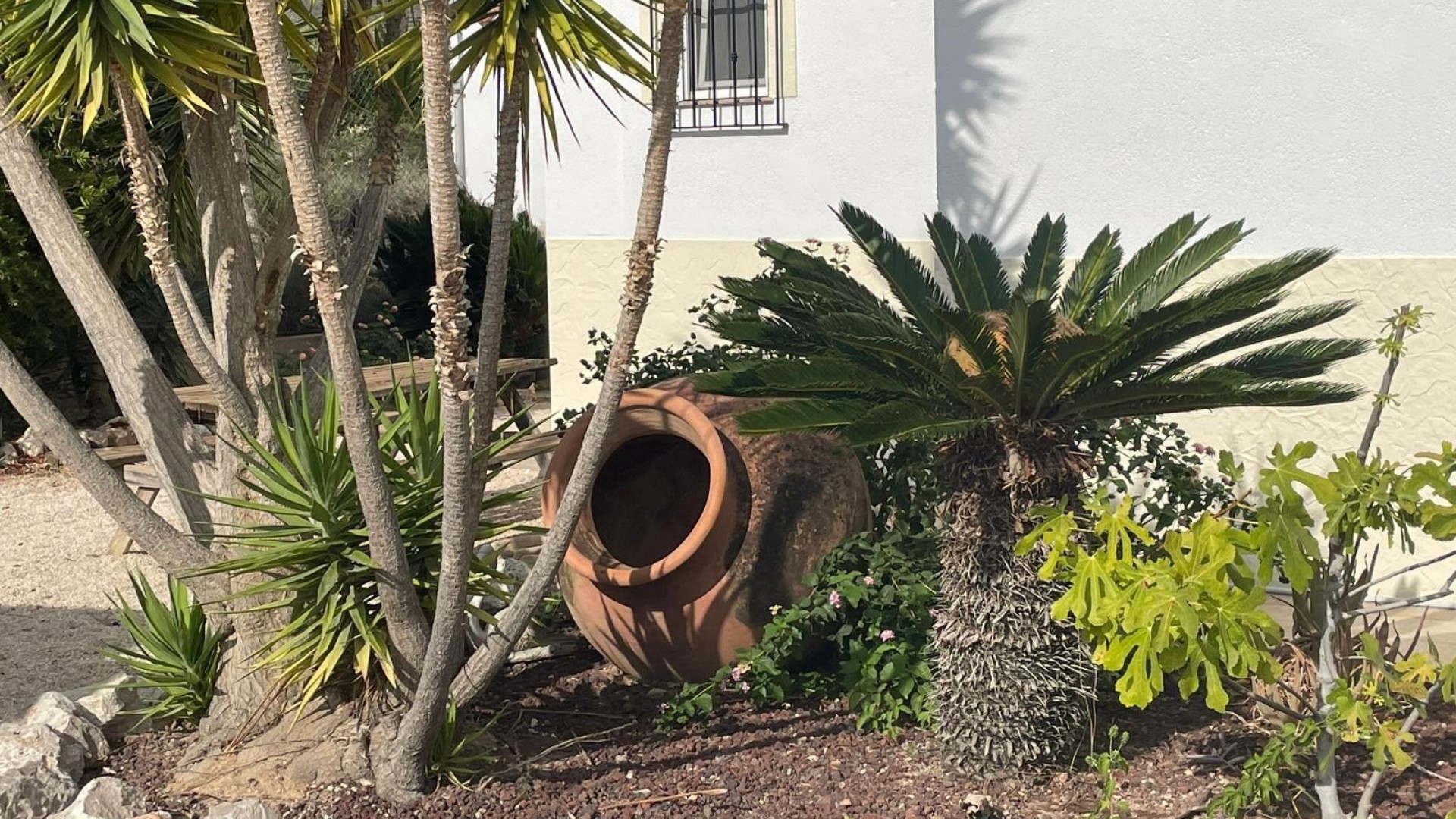 Sale - Finca Country Property -
Abanilla