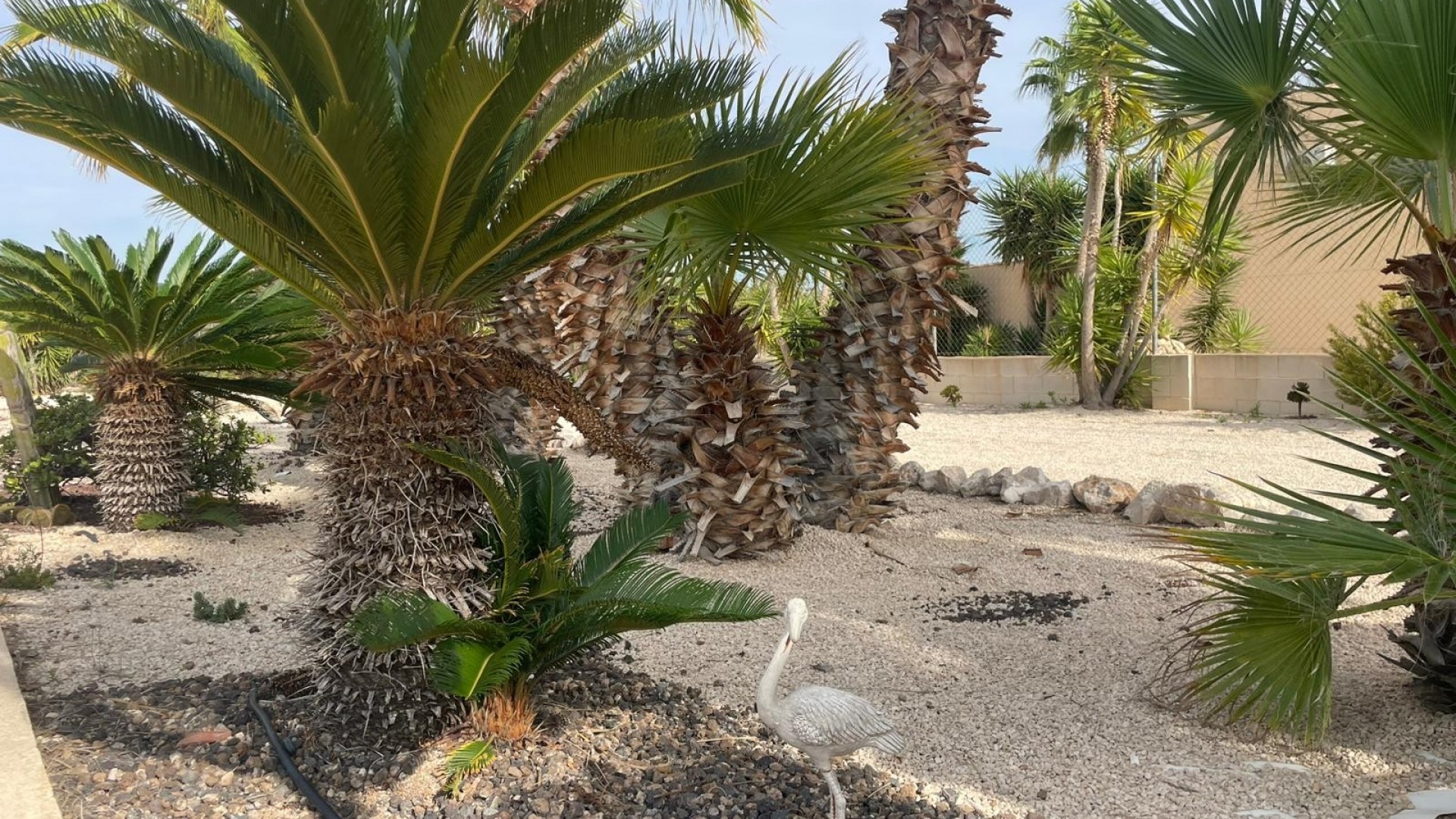 Sale - Finca Country Property -
Abanilla