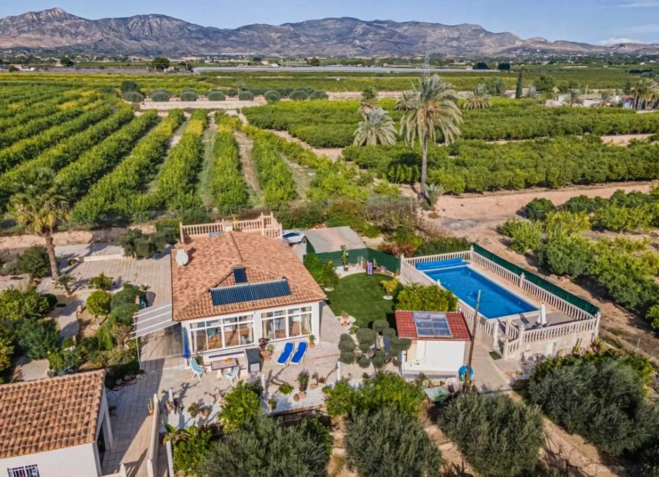 Sale - Finca Country Property -
Albatera