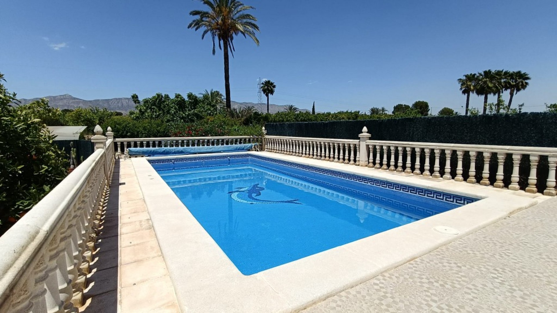 Sale - Finca Country Property -
Albatera