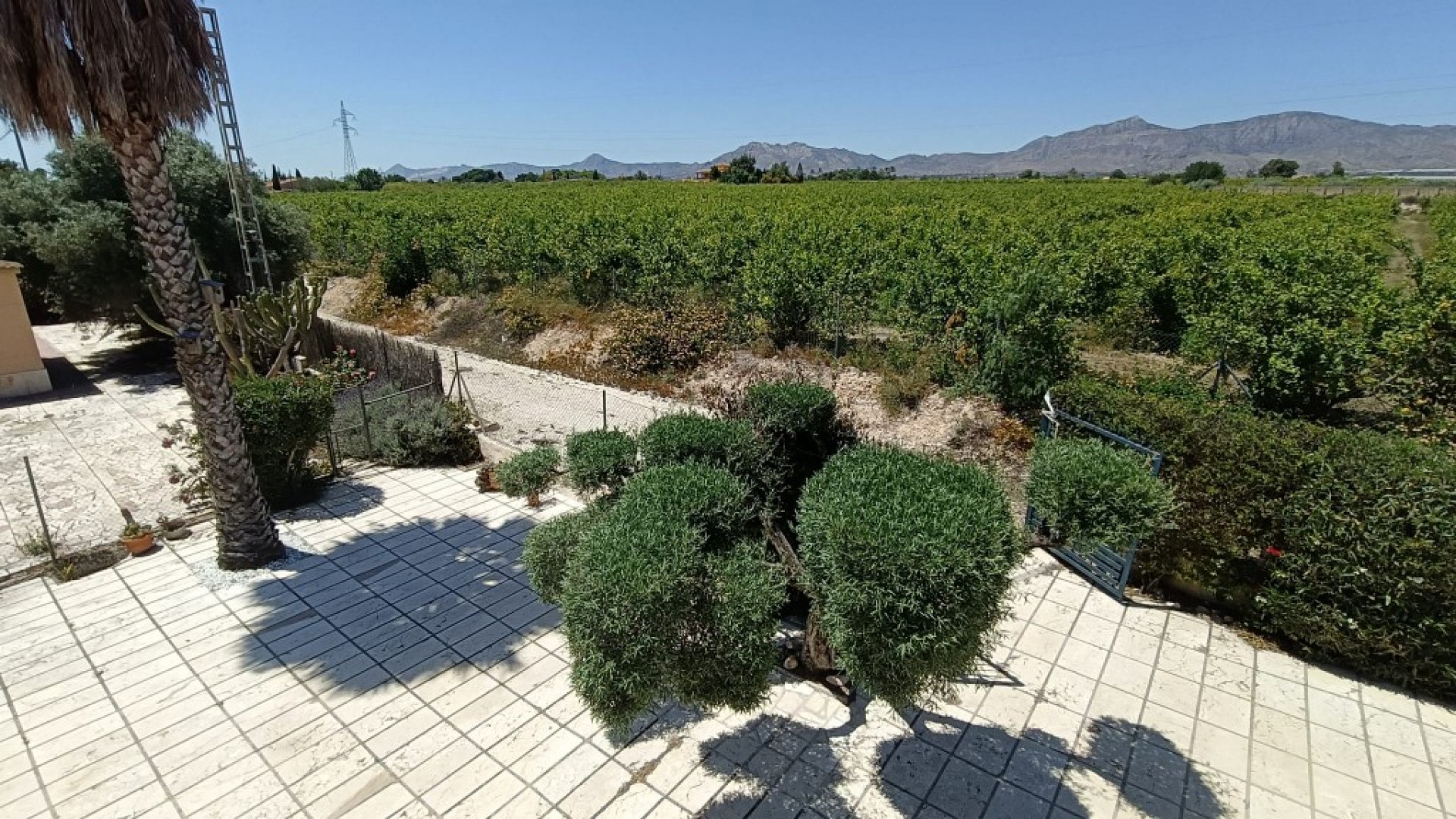 Sale - Finca Country Property -
Albatera