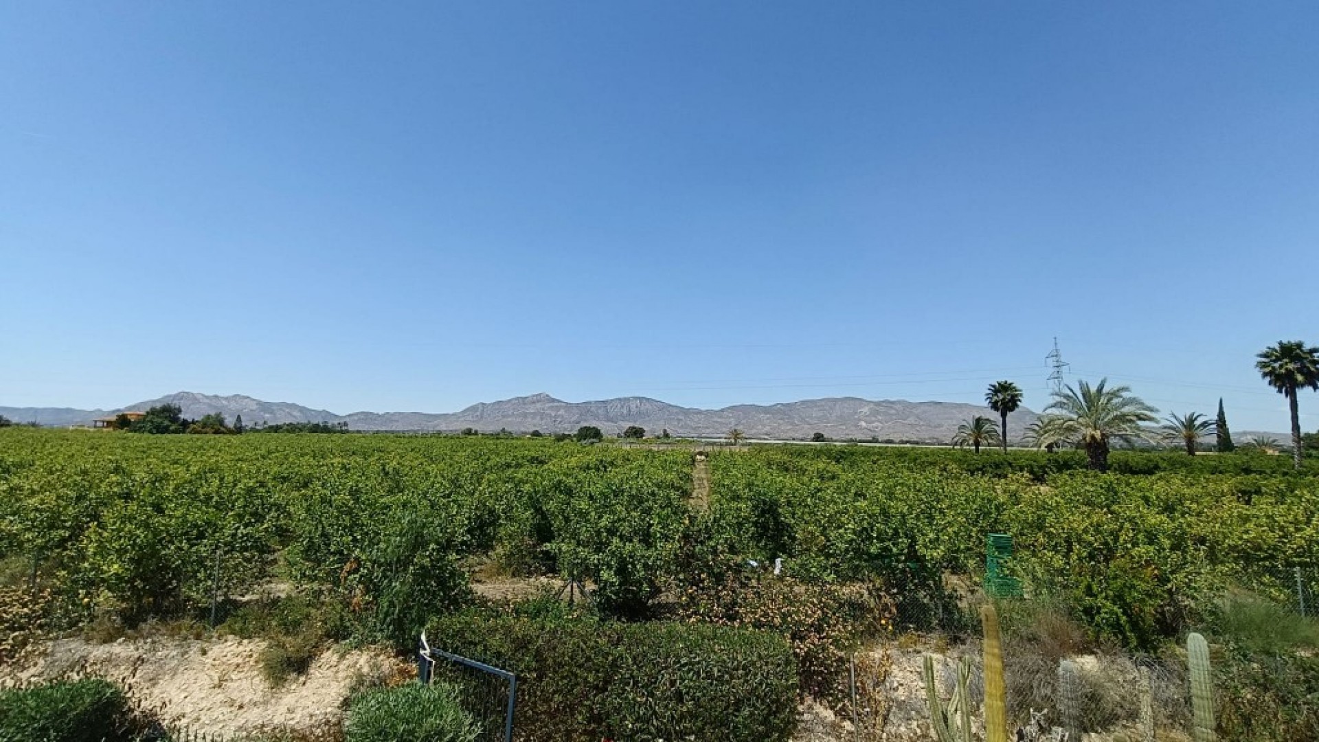 Sale - Finca Country Property -
Albatera