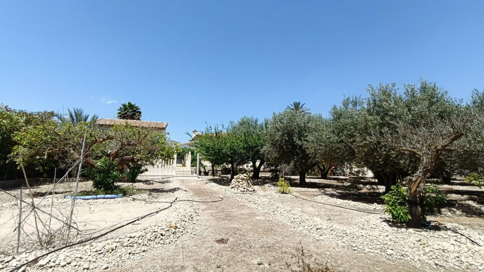 Sale - Finca Country Property -
Albatera