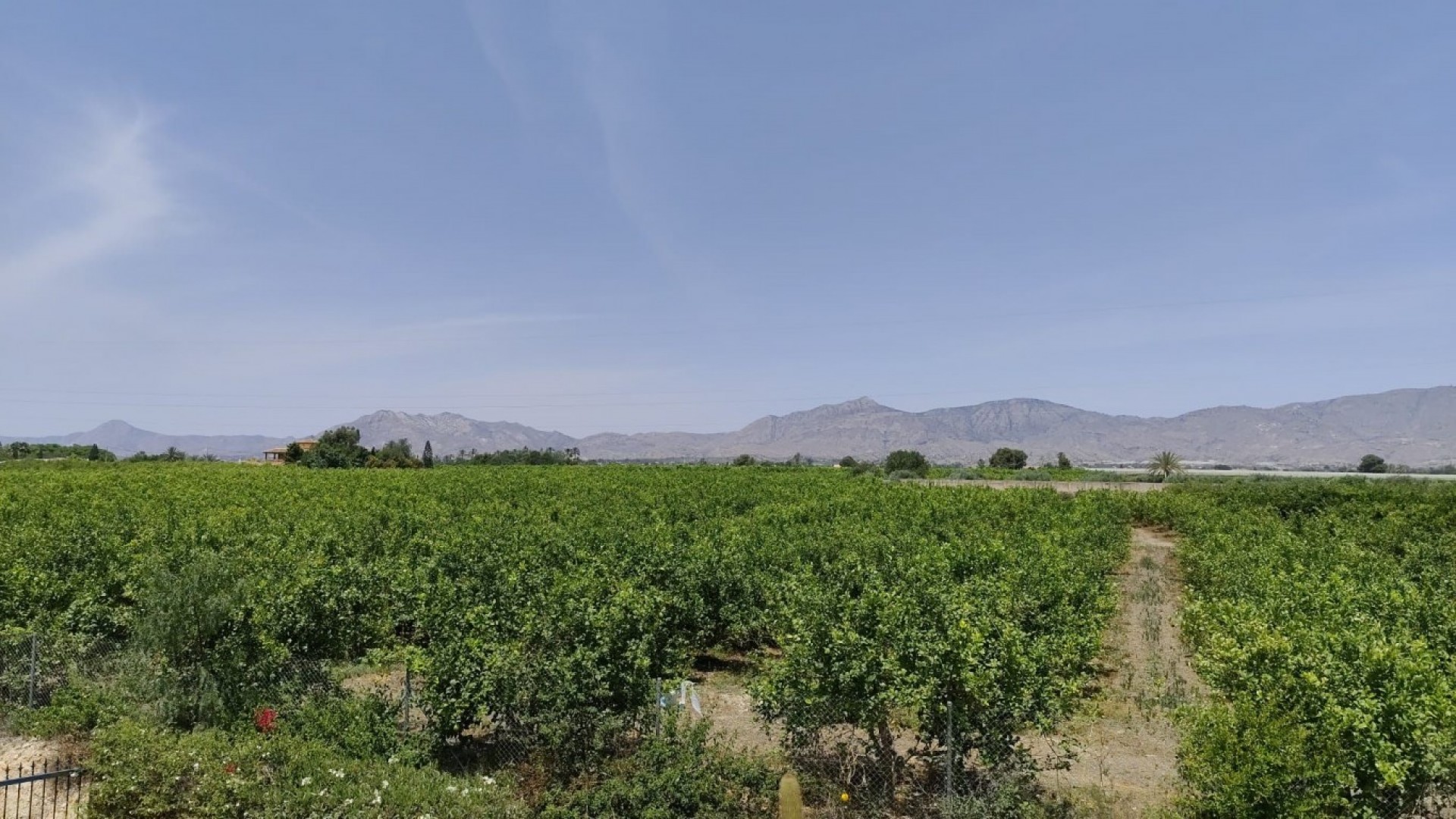 Sale - Finca Country Property -
Albatera