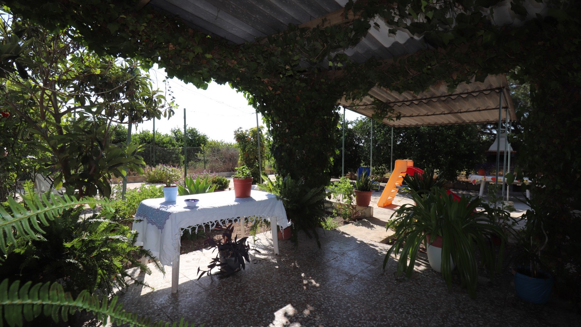 Sale - Finca Country Property -
Albatera