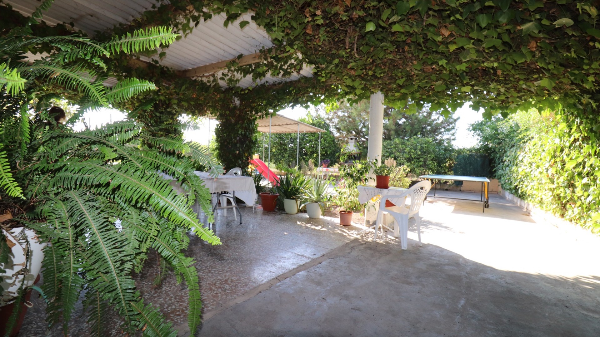 Sale - Finca Country Property -
Albatera