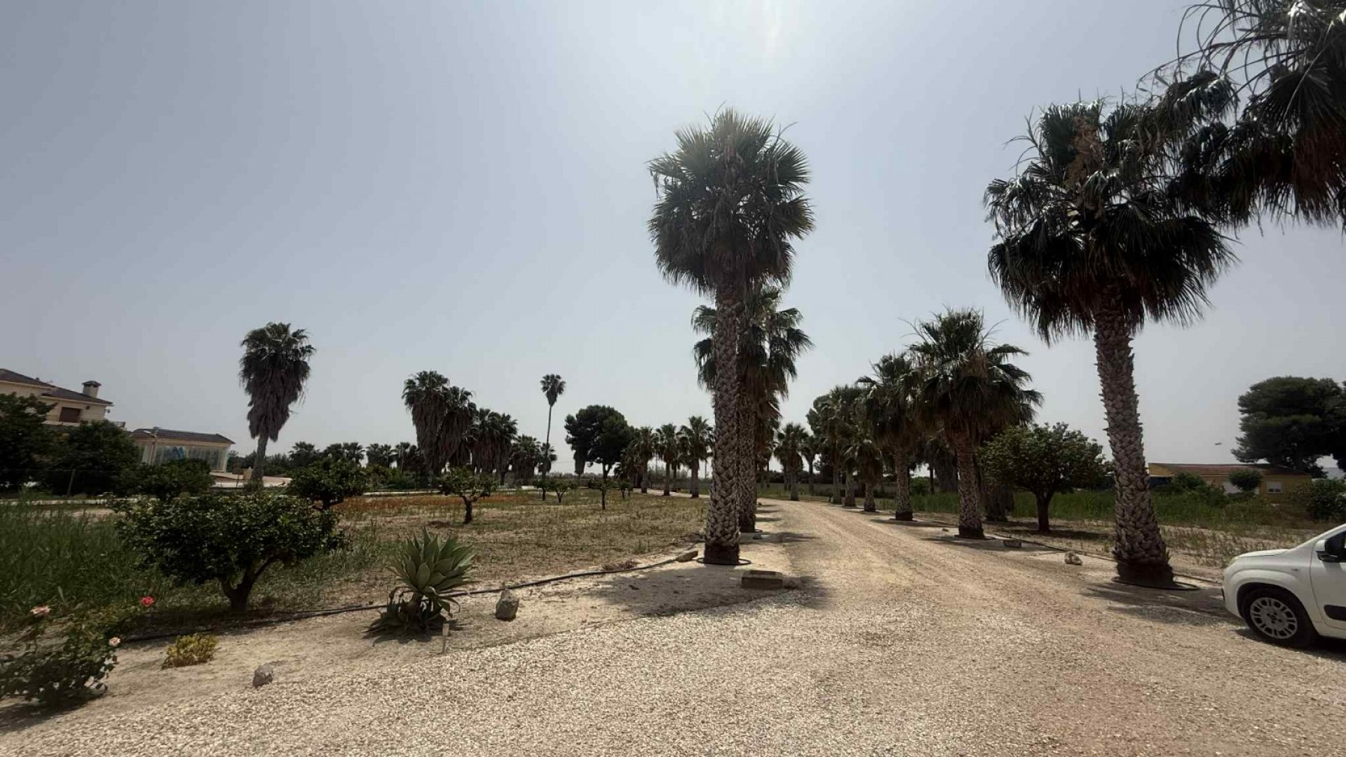 Sale - Finca Country Property -
Almoradí