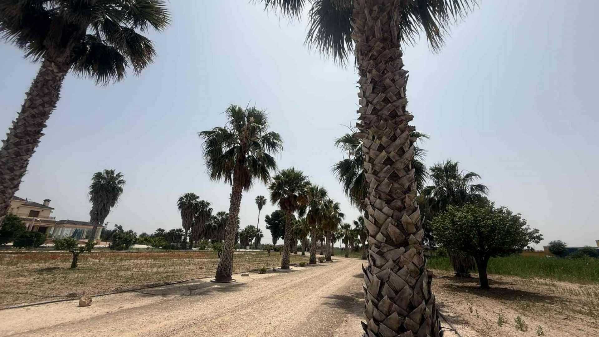 Sale - Finca Country Property -
Almoradí