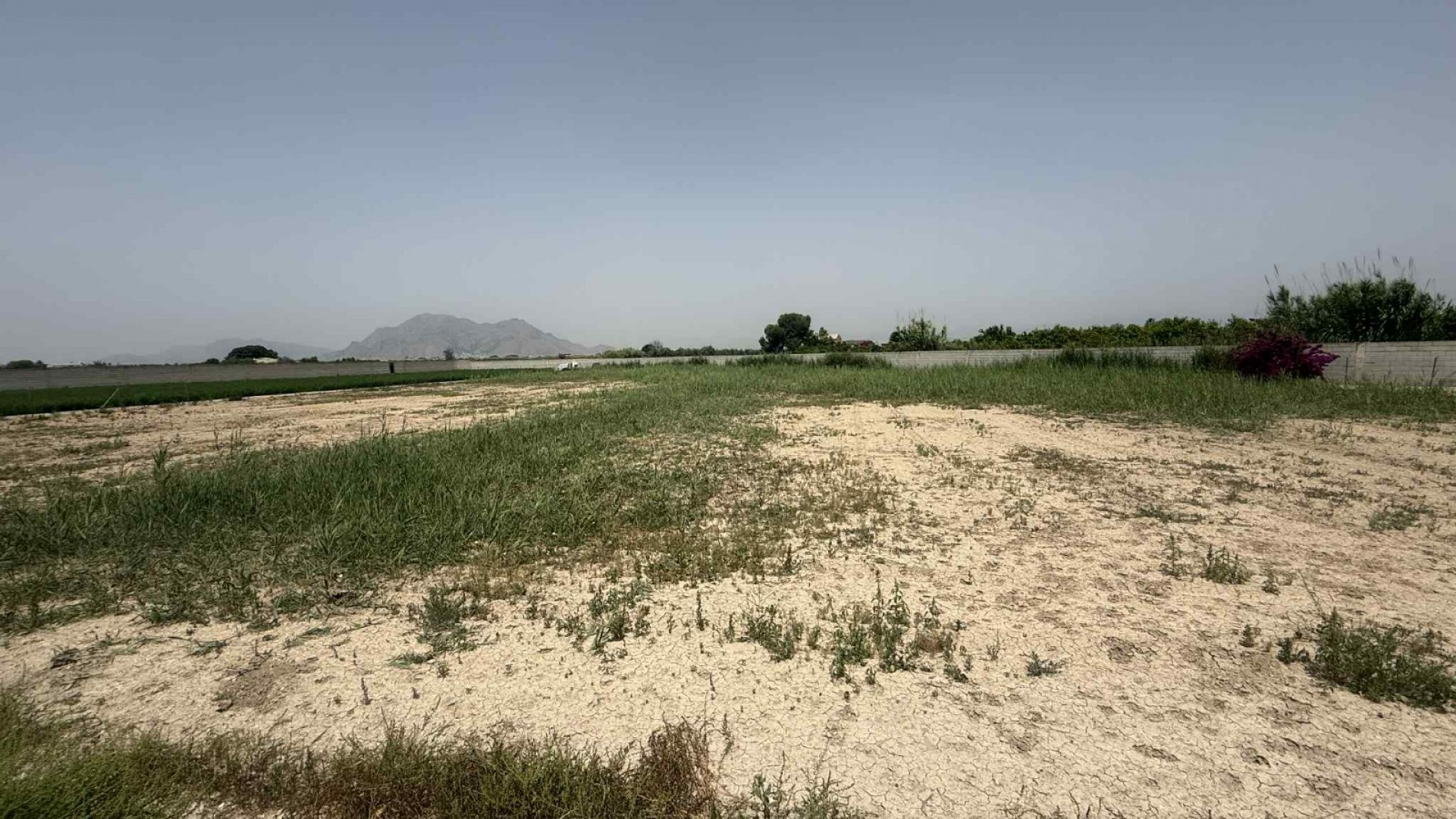 Sale - Finca Country Property -
Almoradí