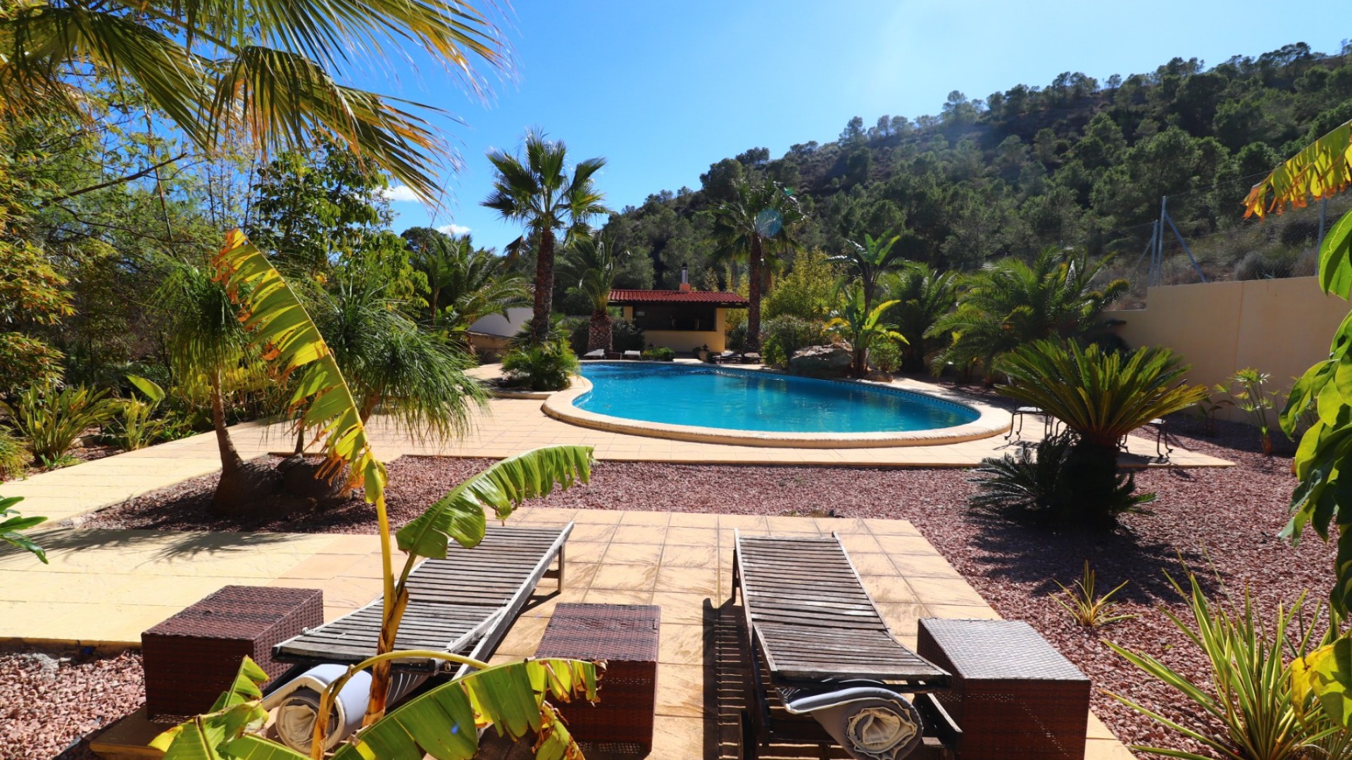 Sale - Finca Country Property -
Aspe - Aspe - Country