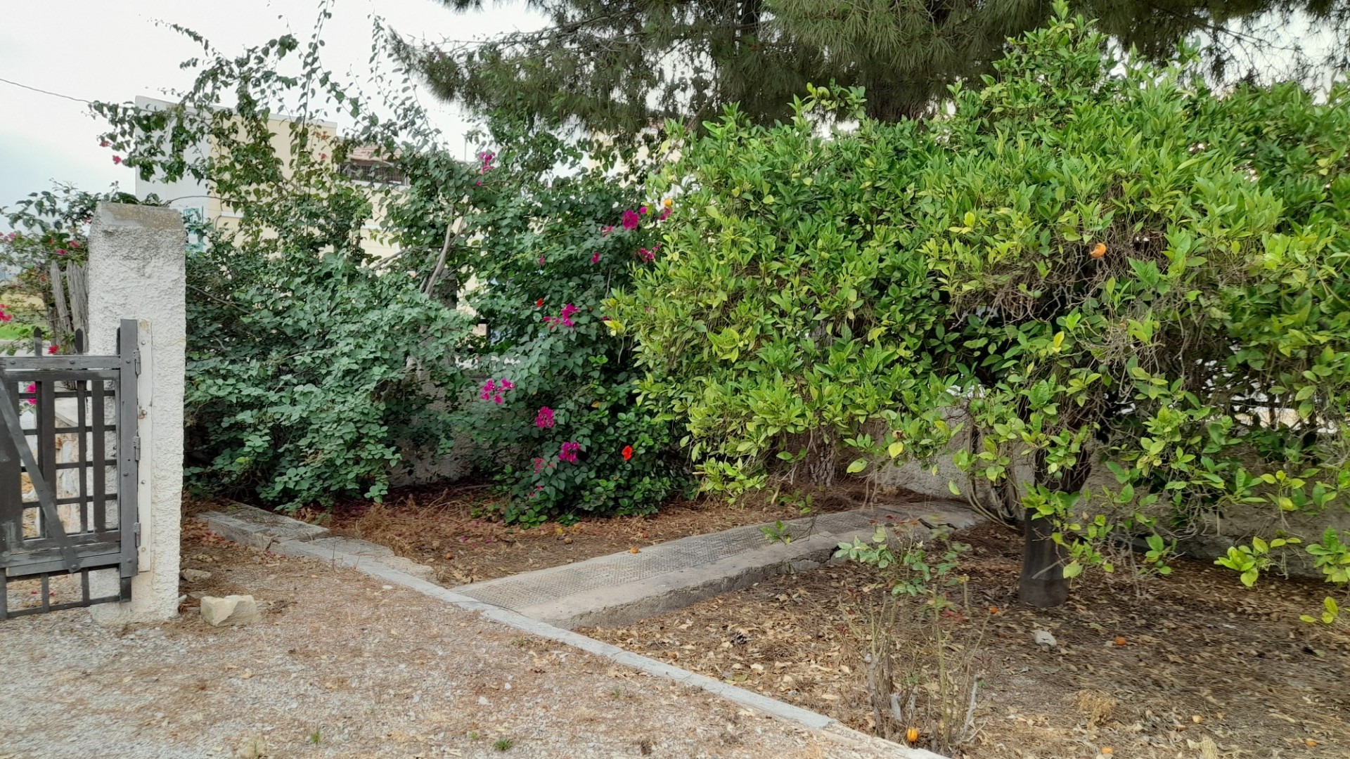 Sale - Finca Country Property -
Benejúzar