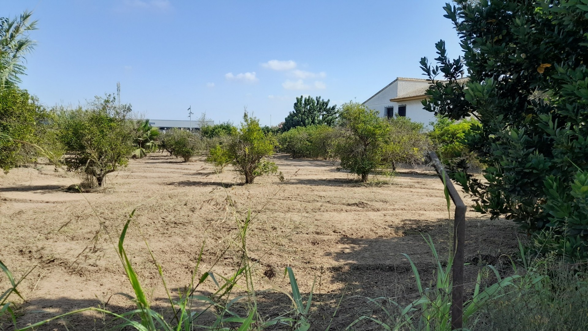 Sale - Finca Country Property -
Benejúzar