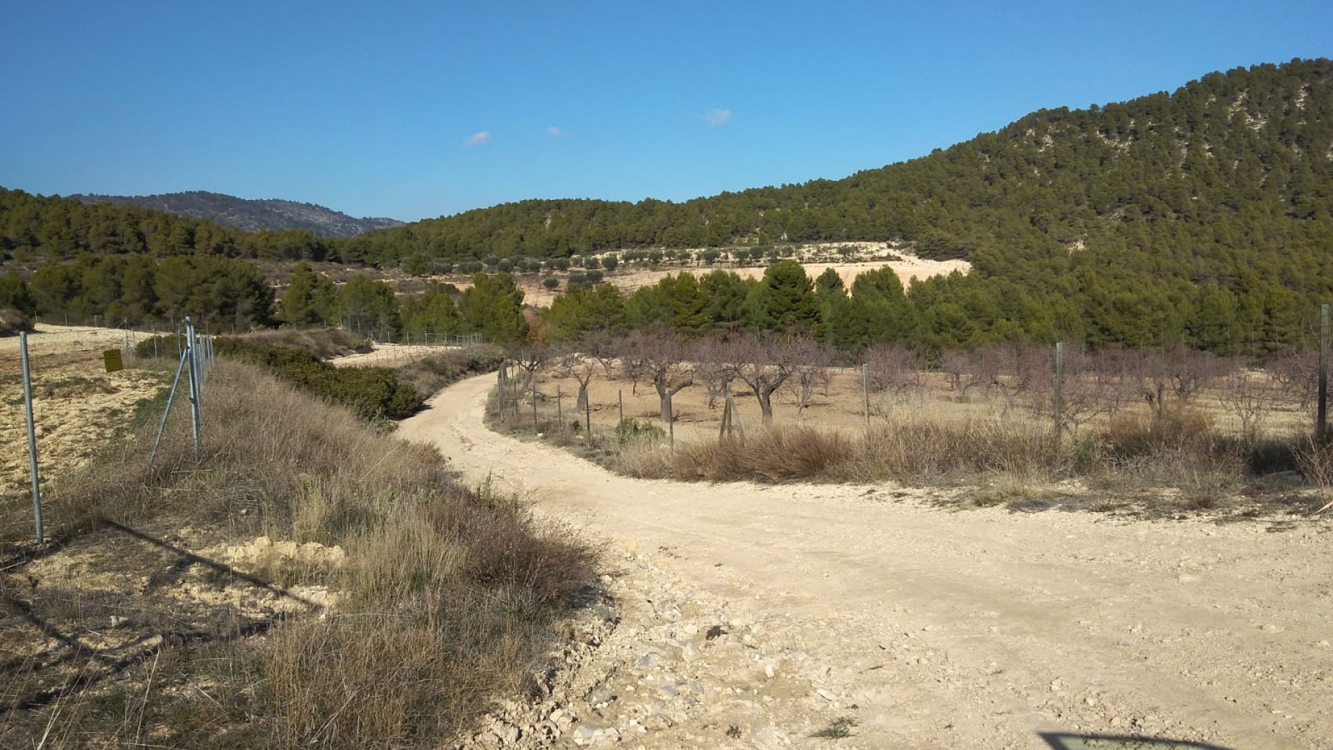 Sale - Finca Country Property -
Bullas