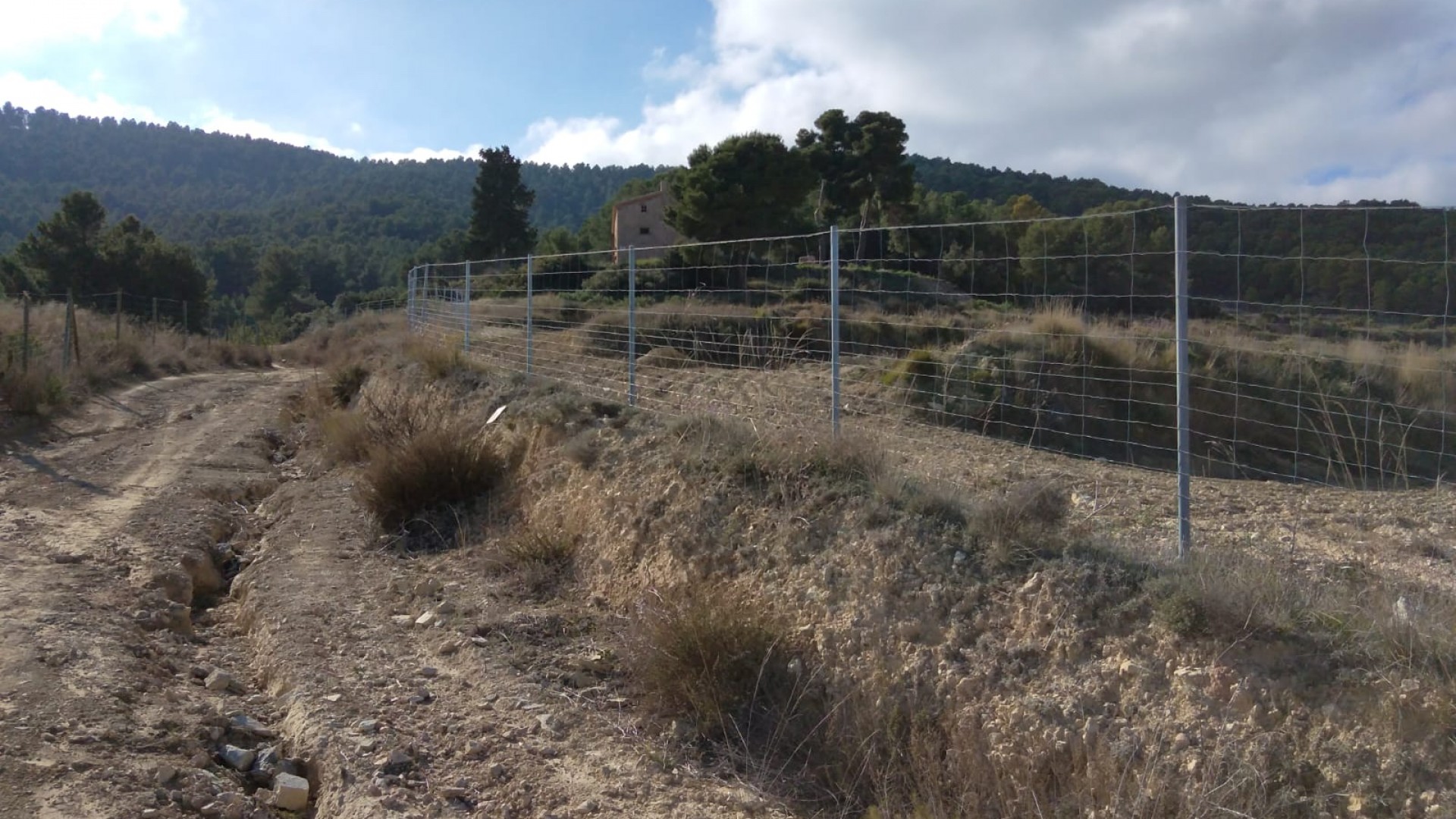 Sale - Finca Country Property -
Bullas