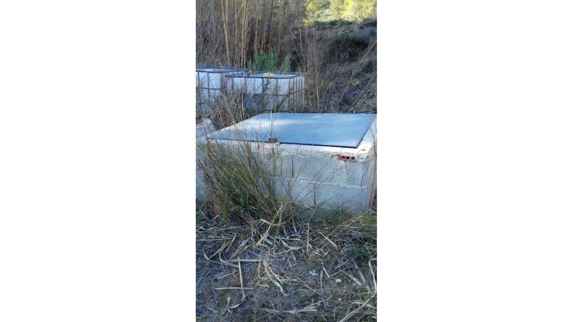 Sale - Finca Country Property -
Bullas