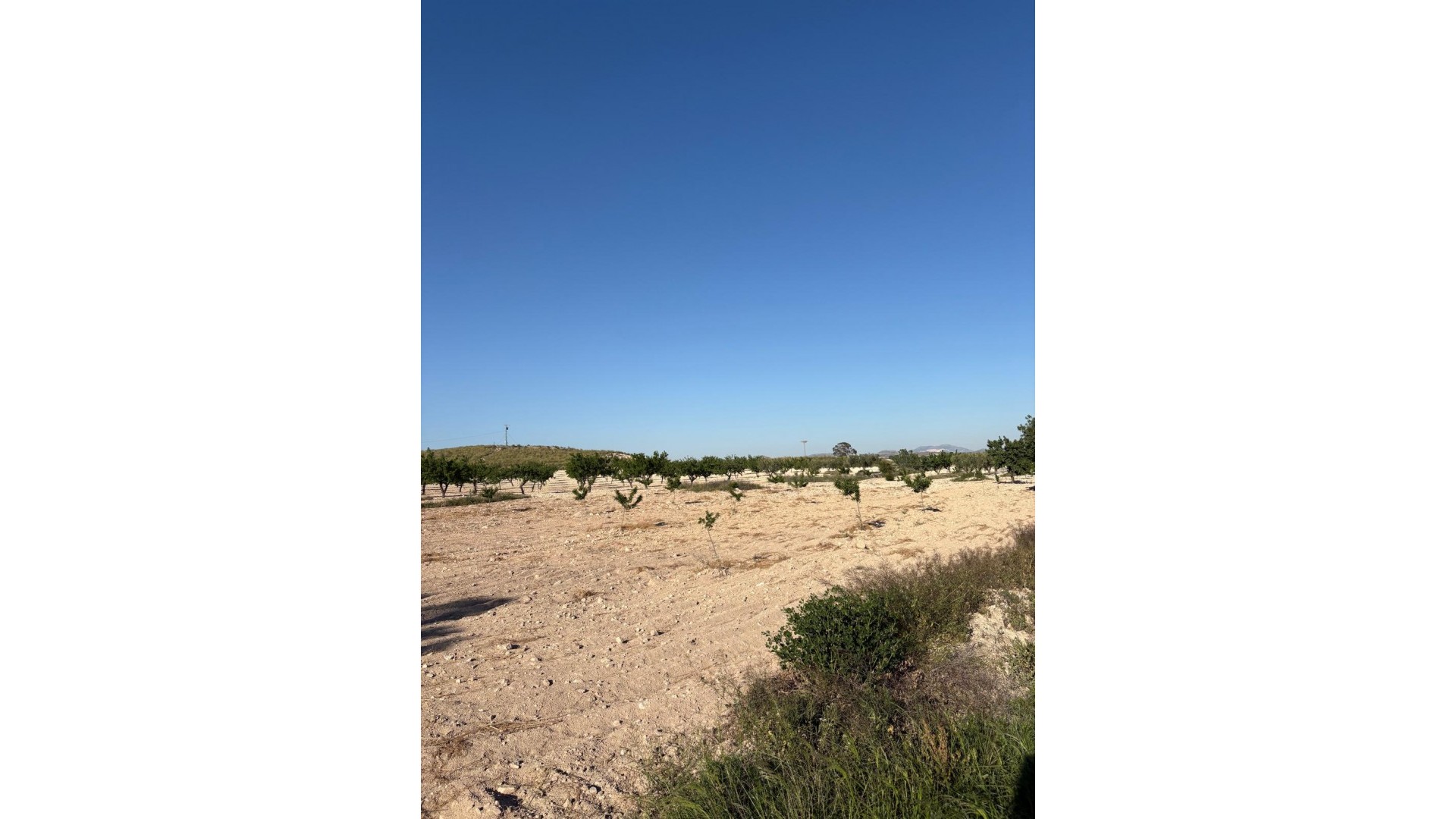 Sale - Finca Country Property -
Cañada del Trigo - Canada del Trigo Murcia