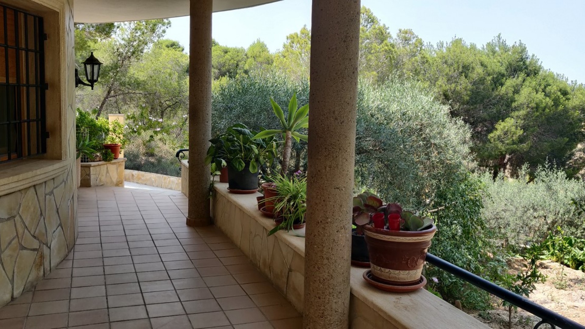 Sale - Finca Country Property -
Cañadas de San Pedro - CAÃADA DE SAN PEDRO