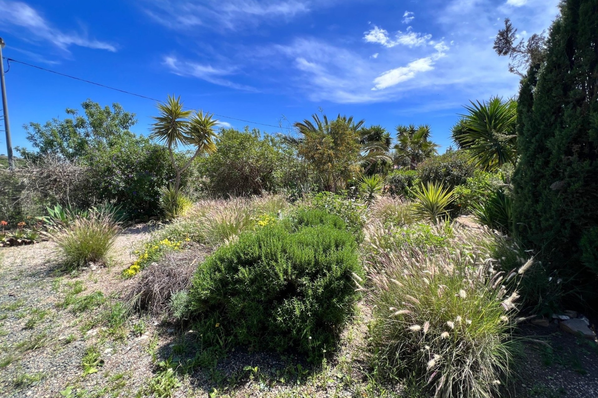 Sale - Finca Country Property -
Cartagena