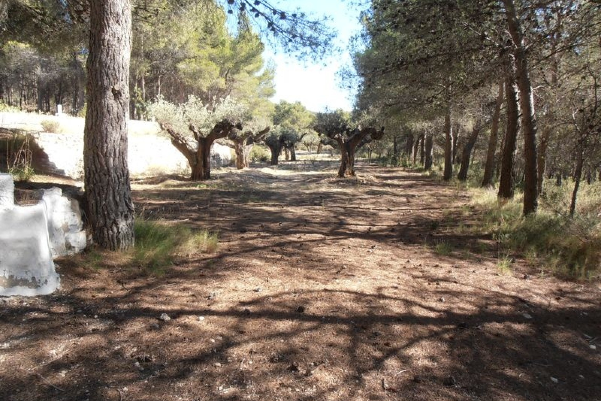 Sale - Finca Country Property -
Castalla