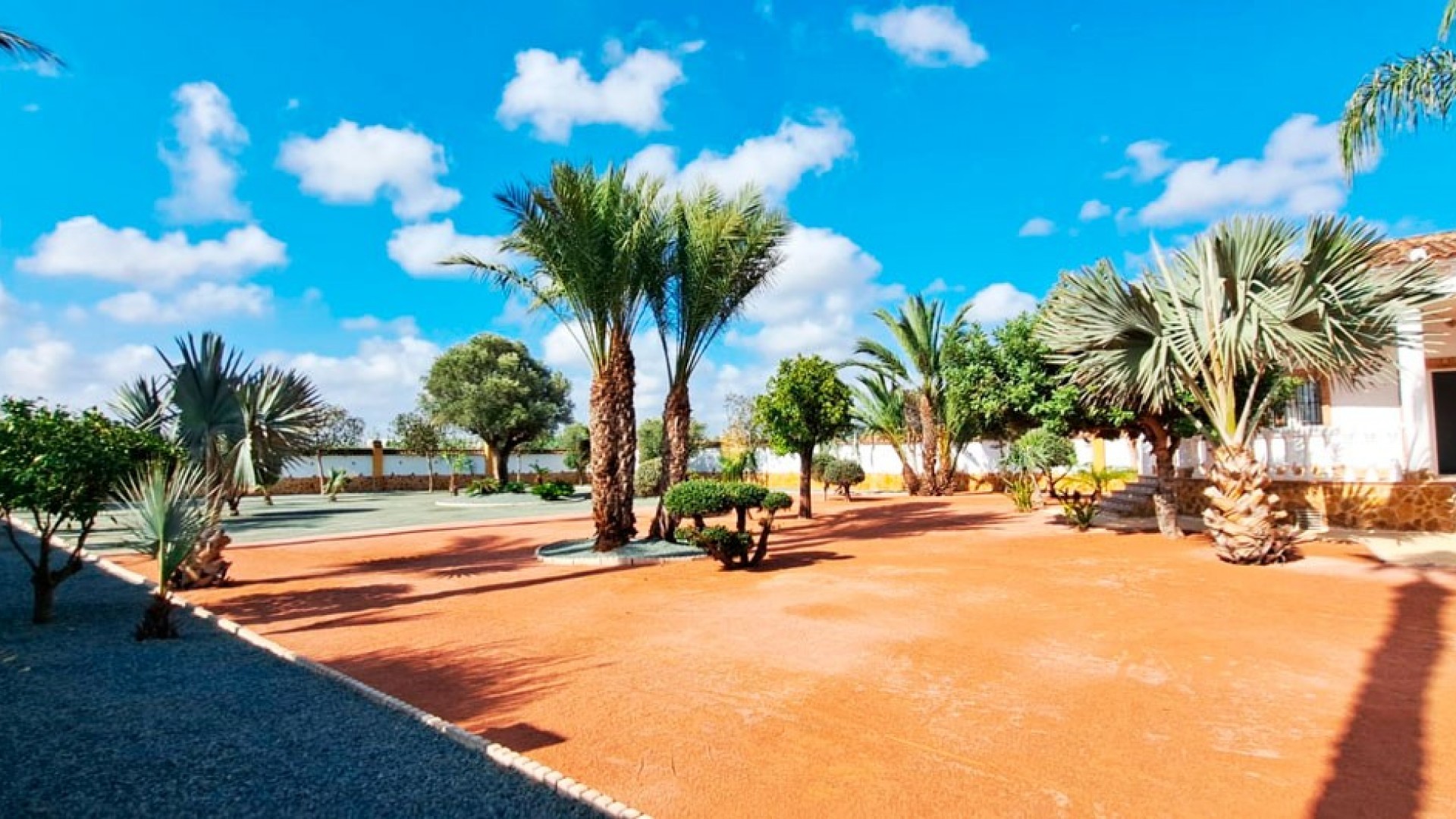 Sale - Finca Country Property -
Catral - Catral - Country