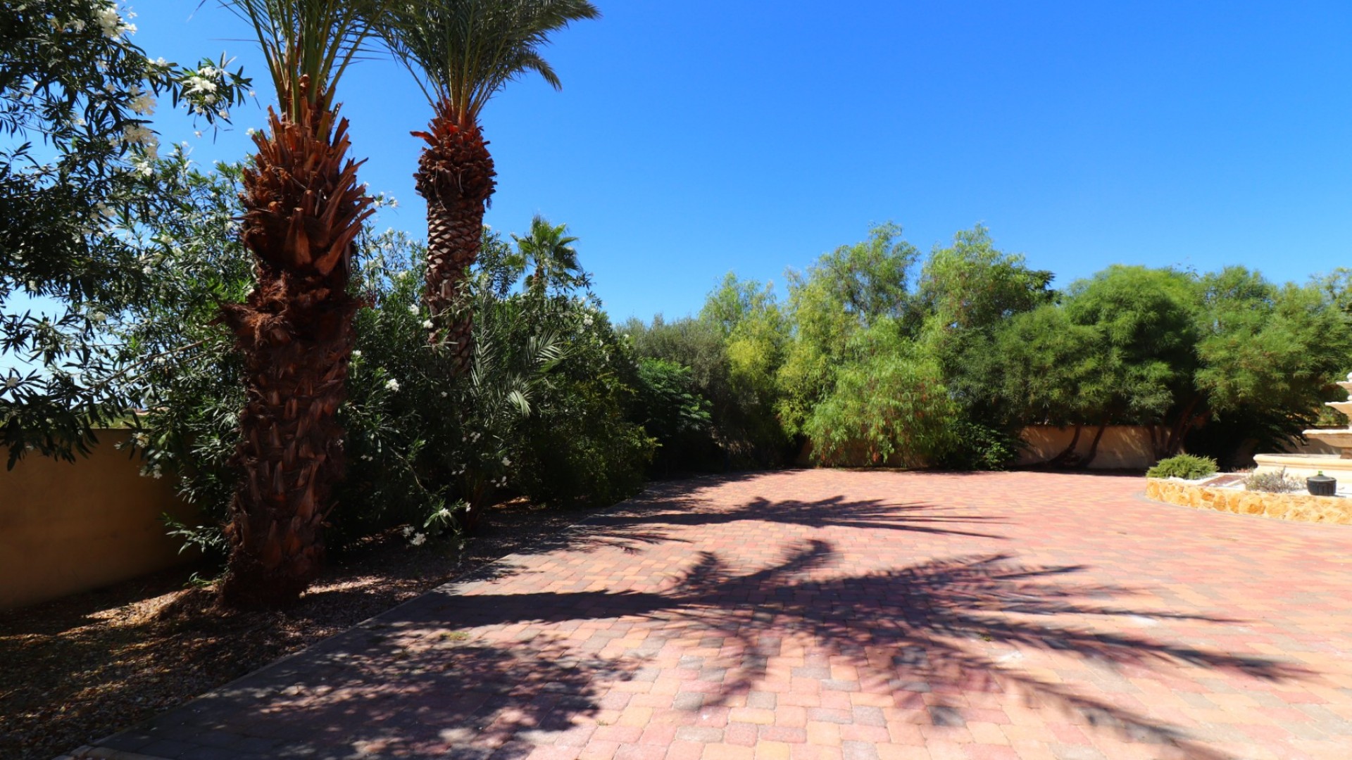 Sale - Finca Country Property -
Catral - Catral - Country