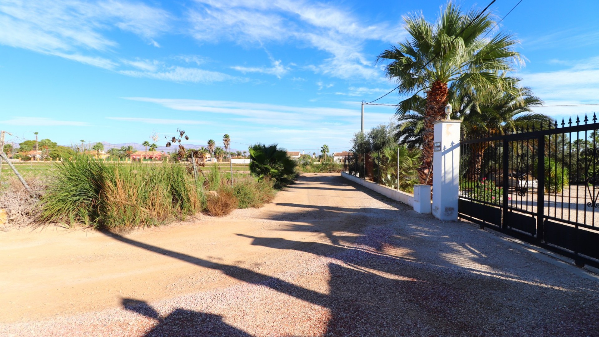 Sale - Finca Country Property -
Catral - Catral - Country