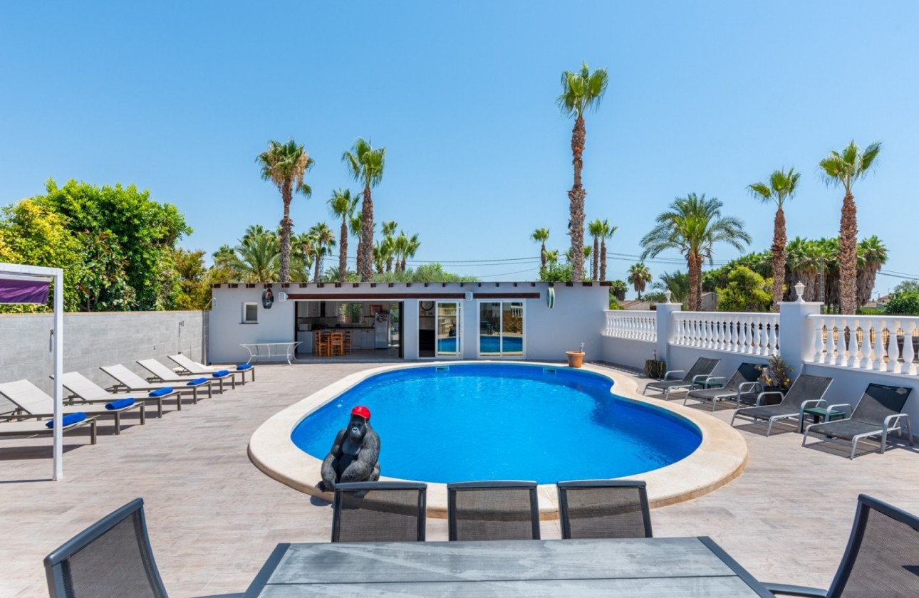 Sale - Finca Country Property -
Catral