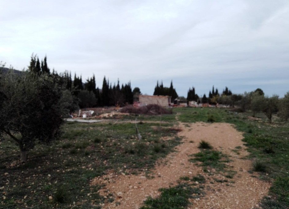 Sale - Finca Country Property -
Caudete