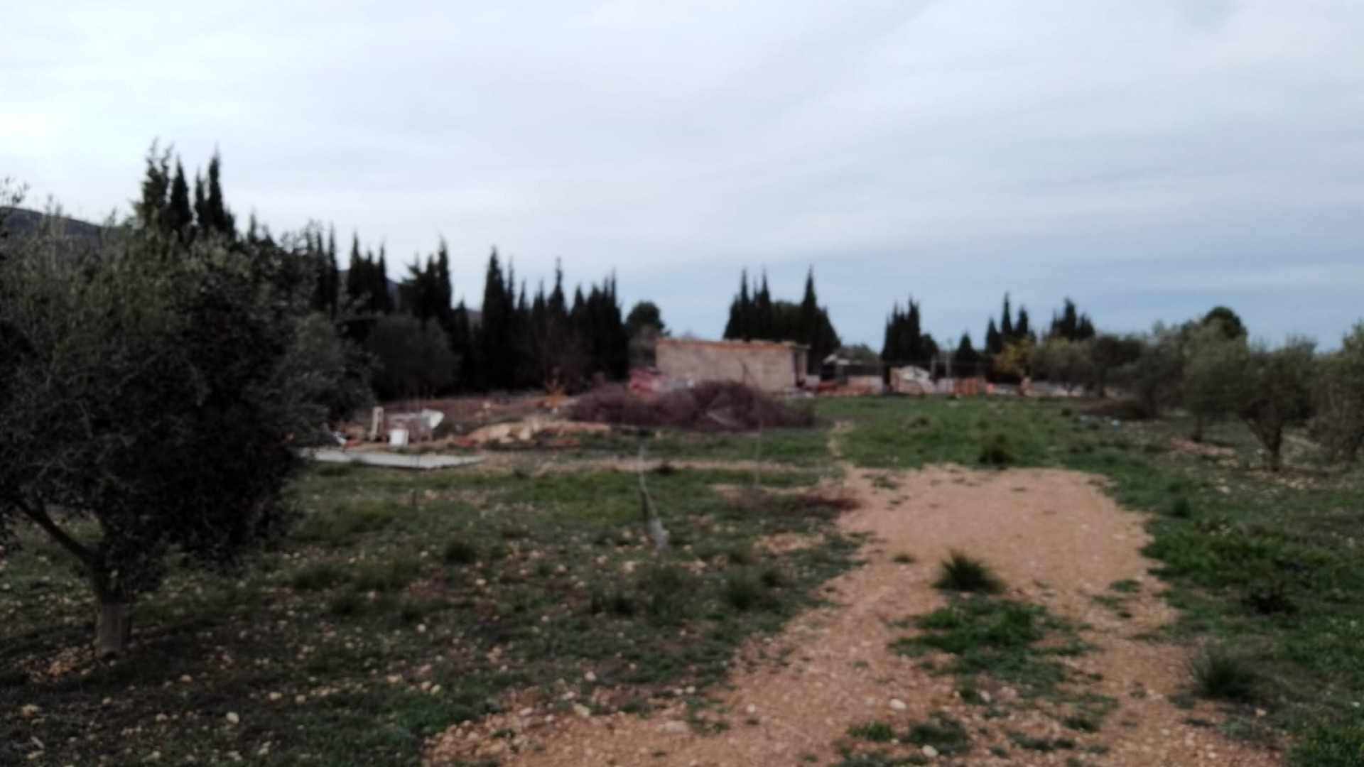 Sale - Finca Country Property -
Caudete