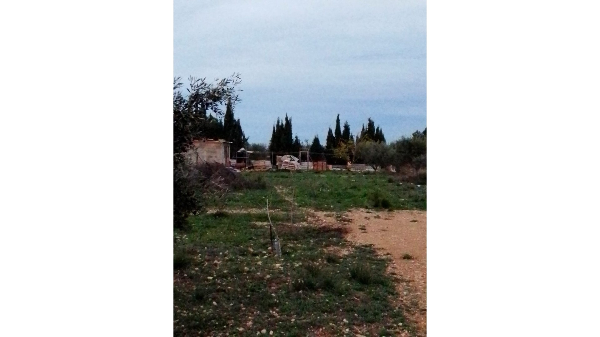 Sale - Finca Country Property -
Caudete
