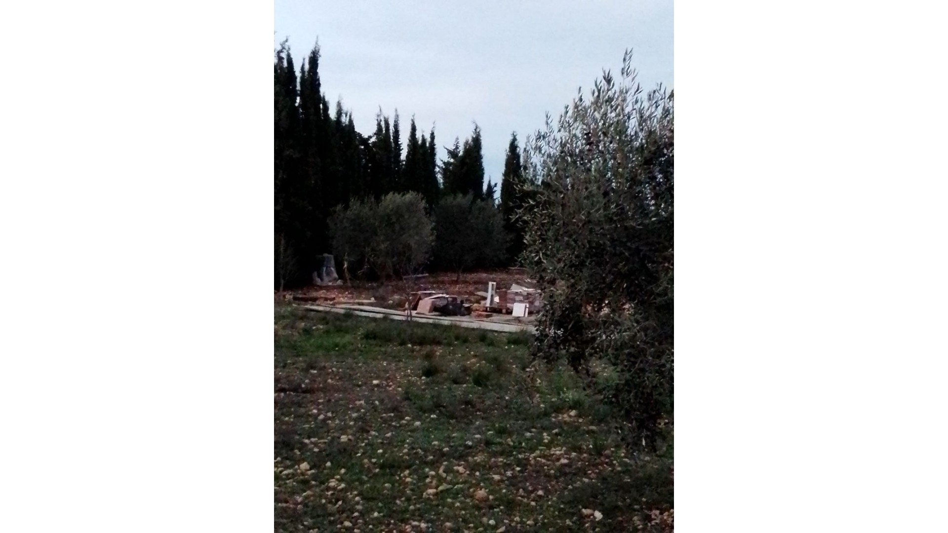 Sale - Finca Country Property -
Caudete