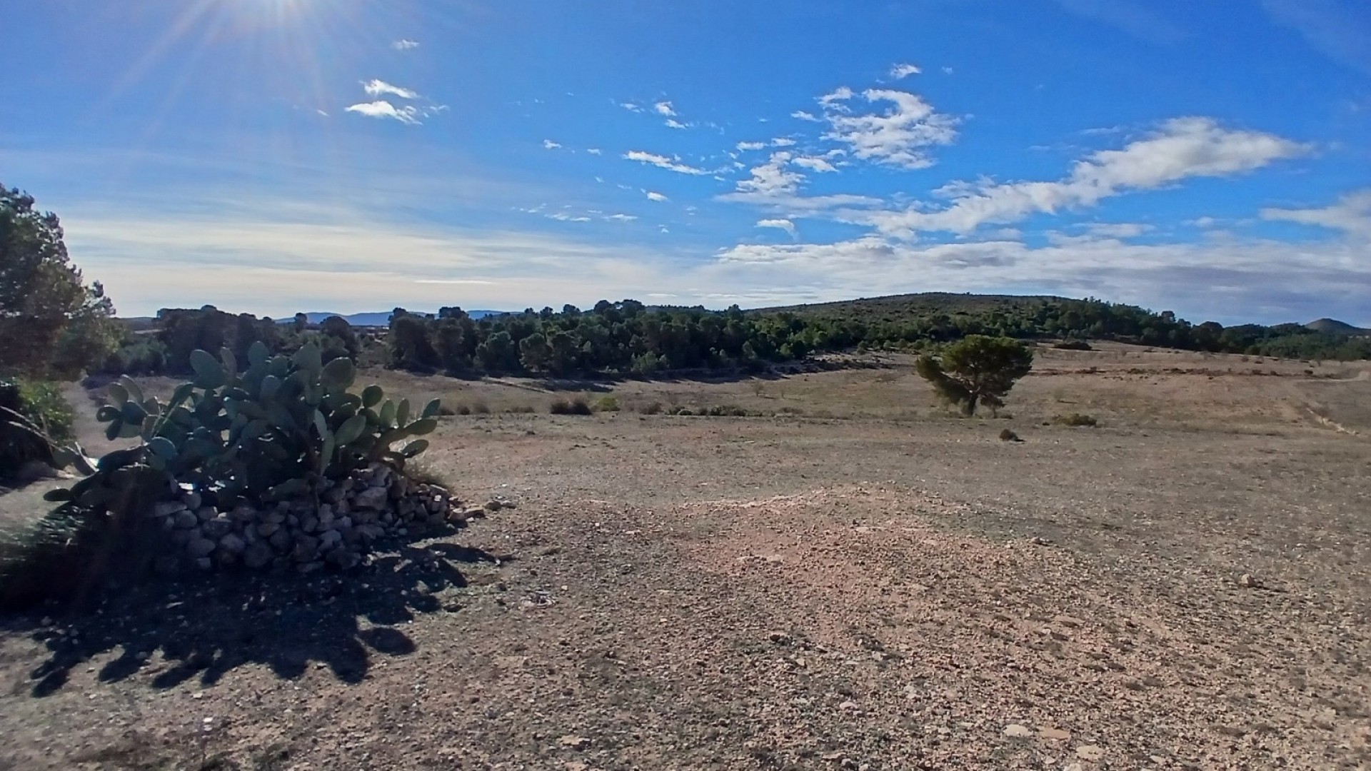 Sale - Finca Country Property -
Caudete