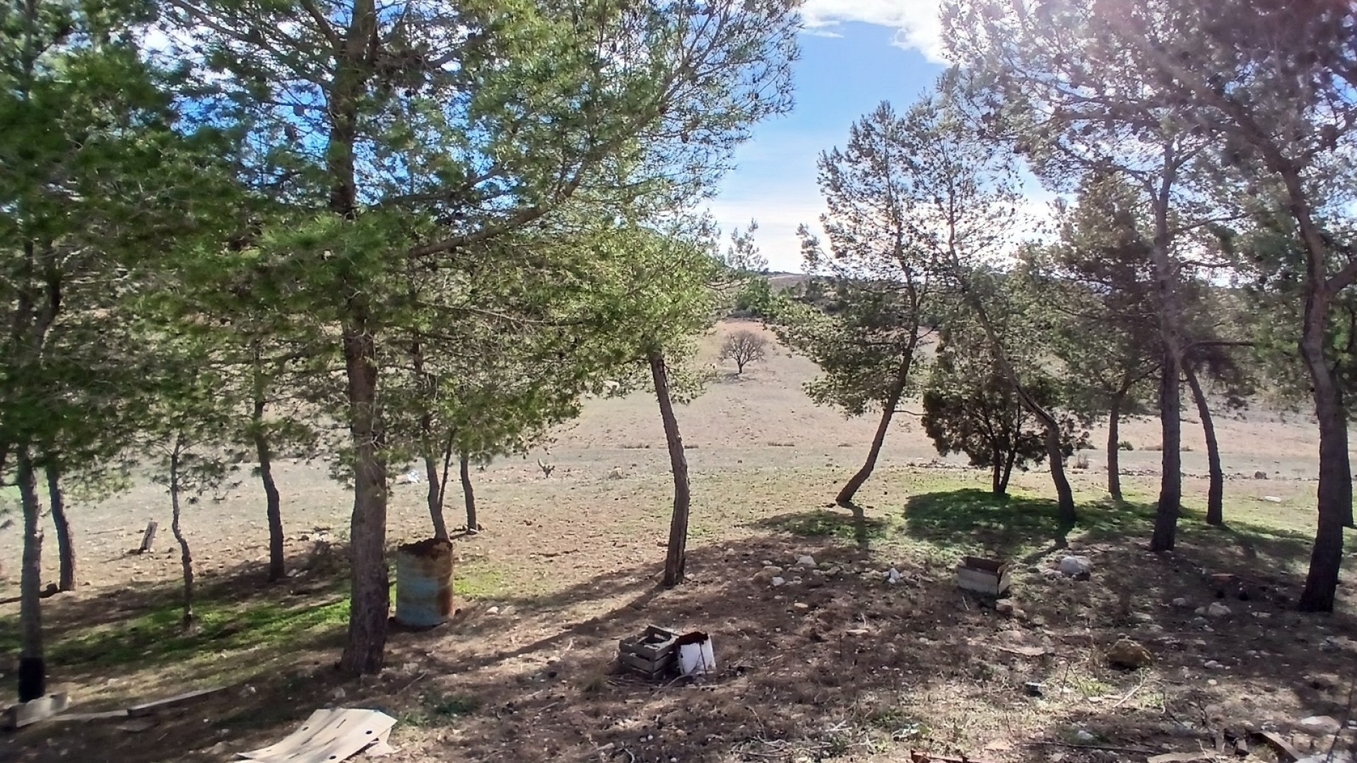 Sale - Finca Country Property -
Caudete