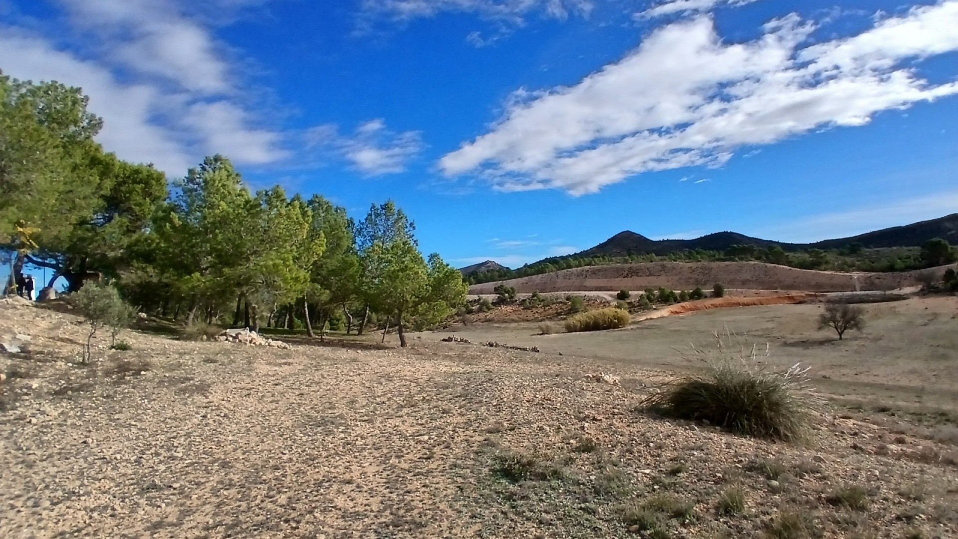 Sale - Finca Country Property -
Caudete