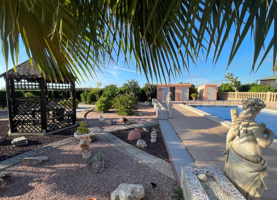 Sale - Finca Country Property -
Crevillente