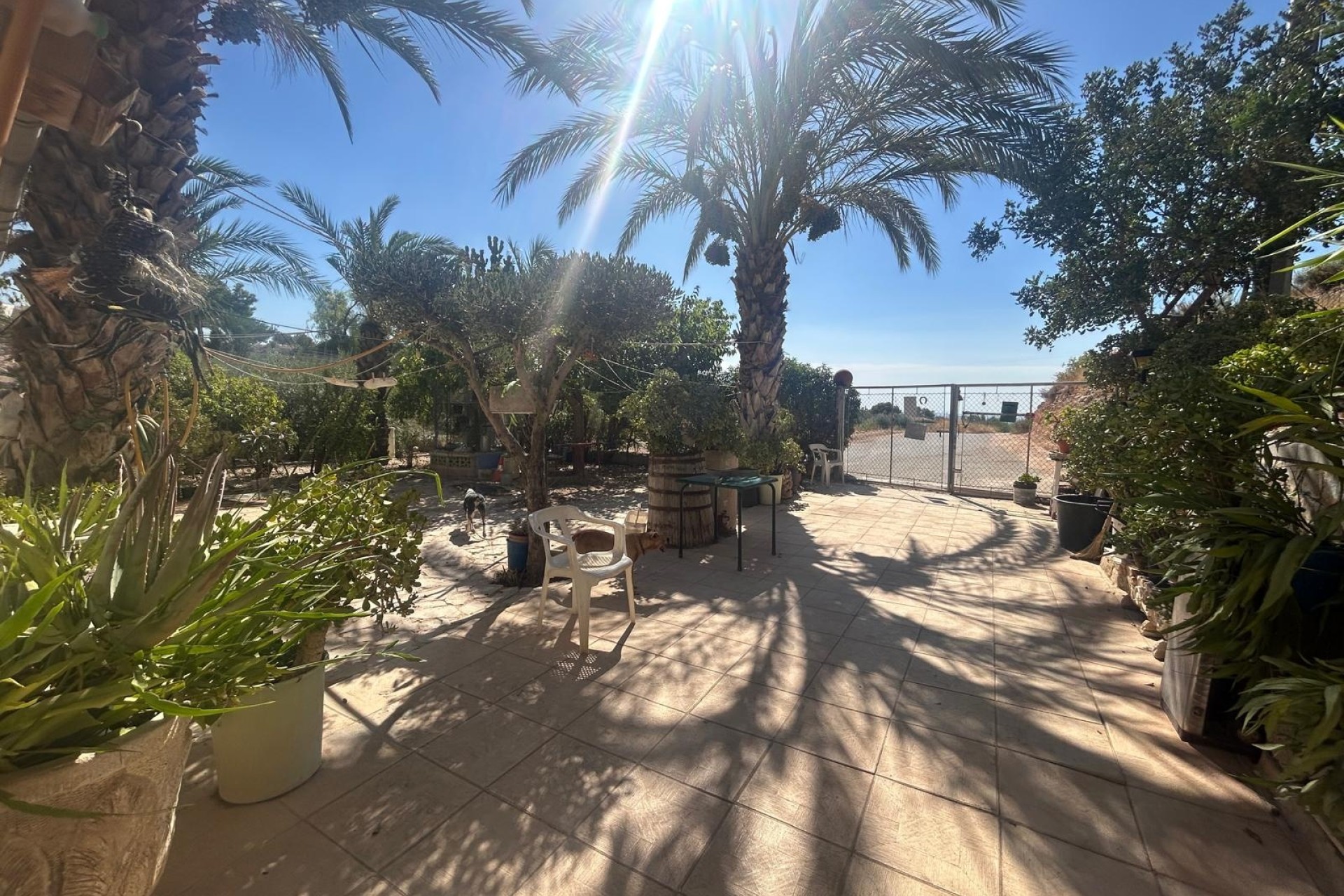 Sale - Finca Country Property -
Crevillente