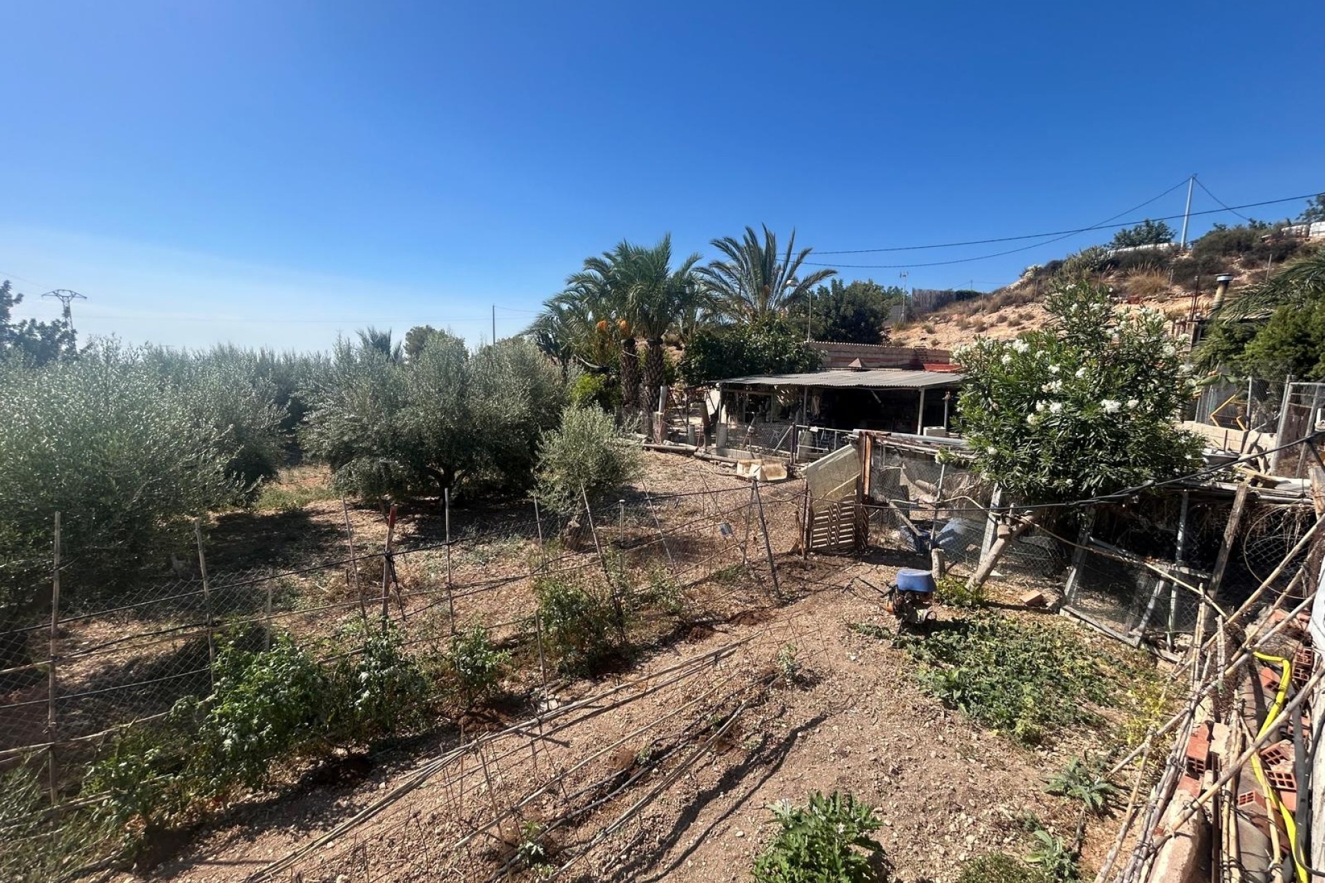 Sale - Finca Country Property -
Crevillente