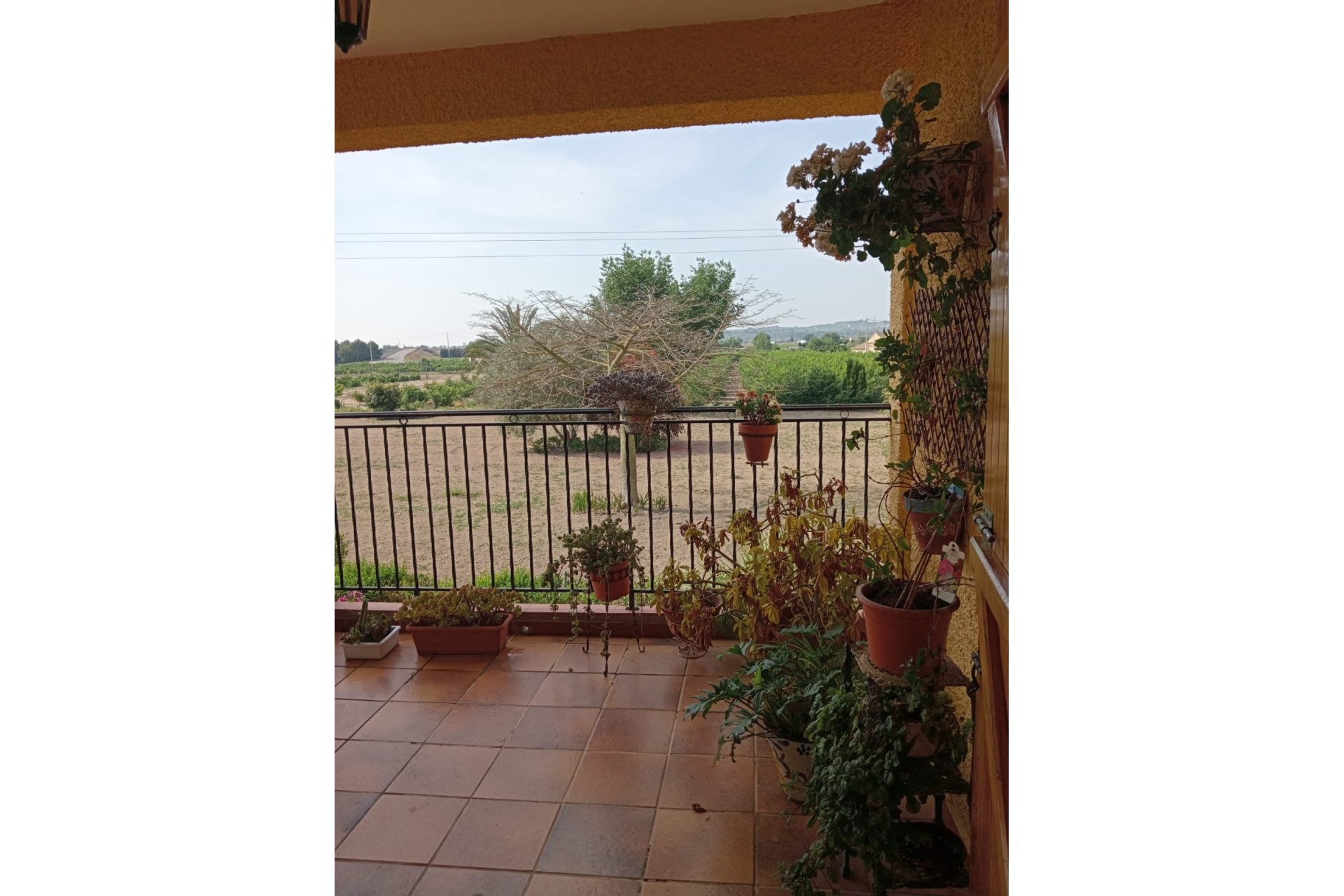 Sale - Finca Country Property -
Daya Nueva