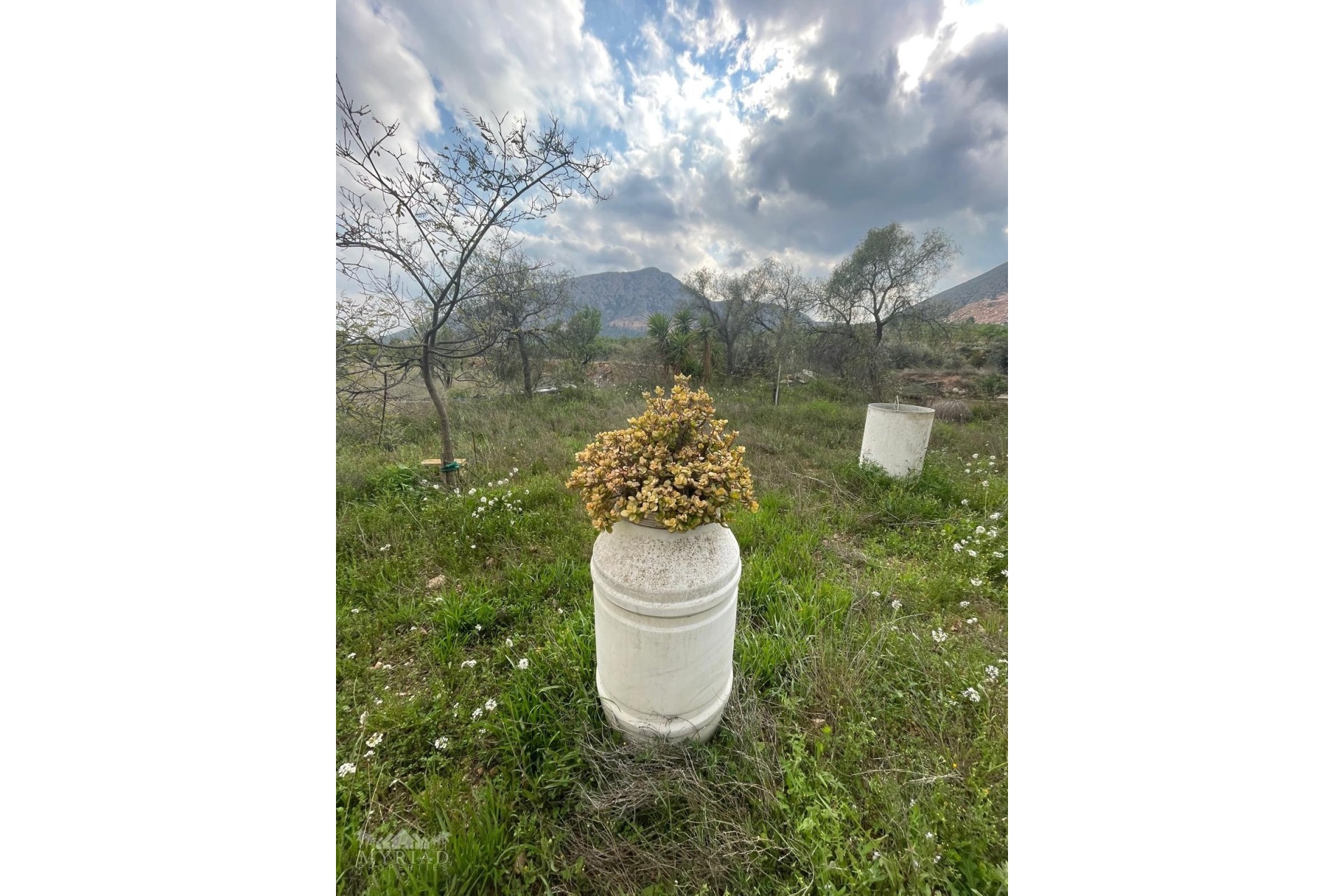 Sale - Finca Country Property -
El Cantón