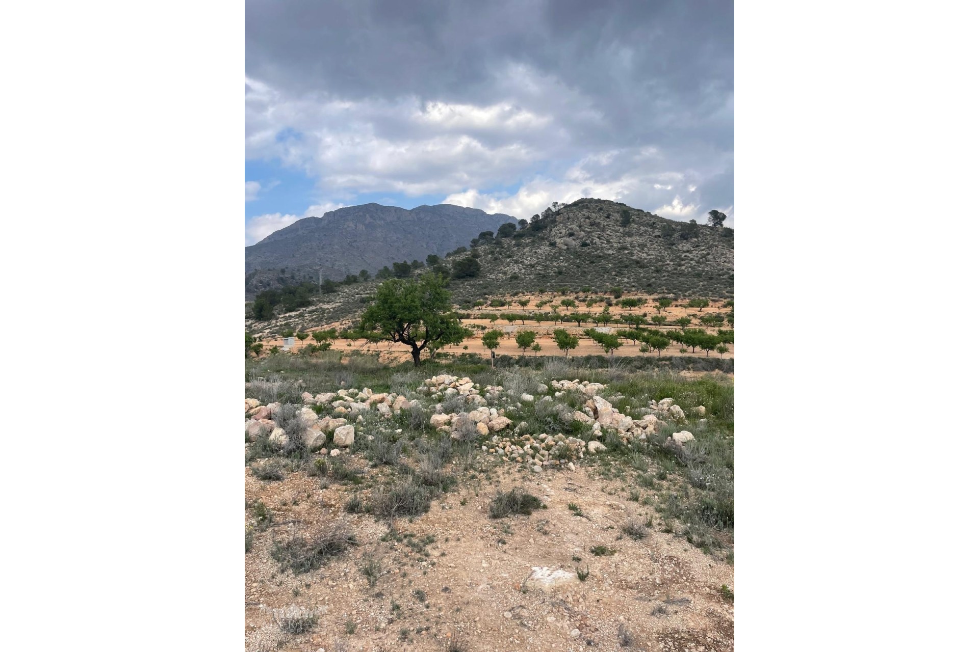 Sale - Finca Country Property -
El Cantón