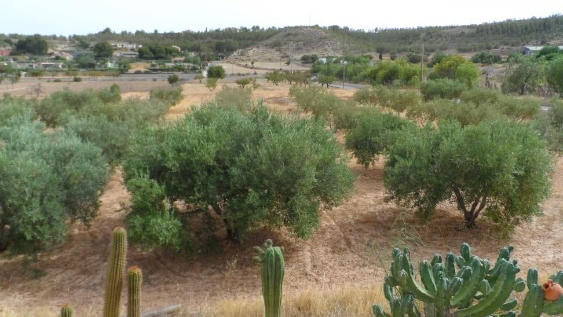 Sale - Finca Country Property -
Elche