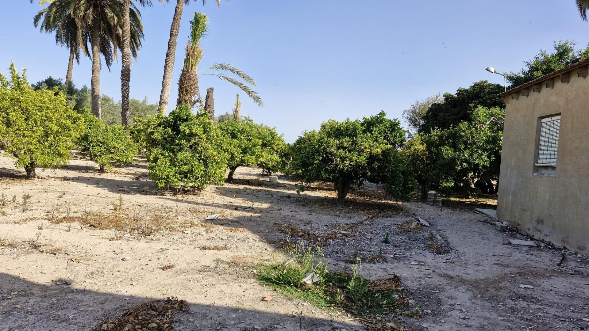 Sale - Finca Country Property -
Elche