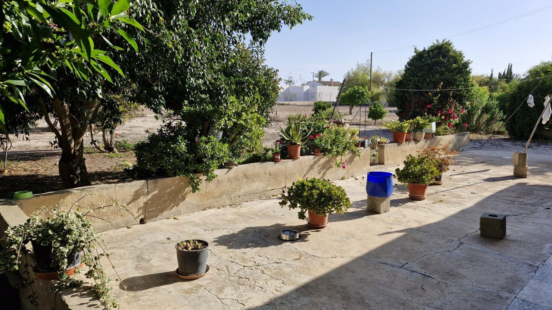 Sale - Finca Country Property -
Elche