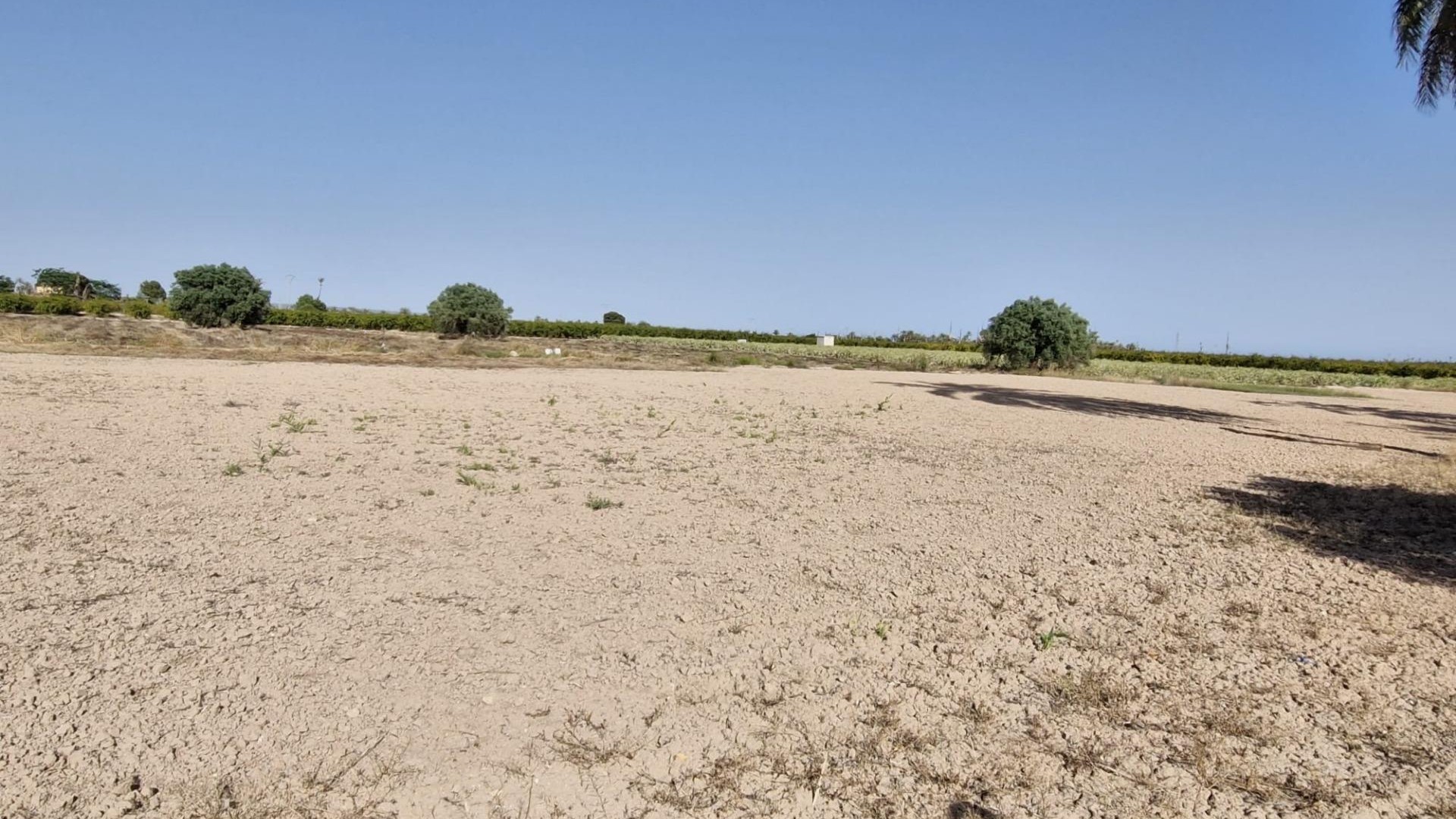 Sale - Finca Country Property -
Elche