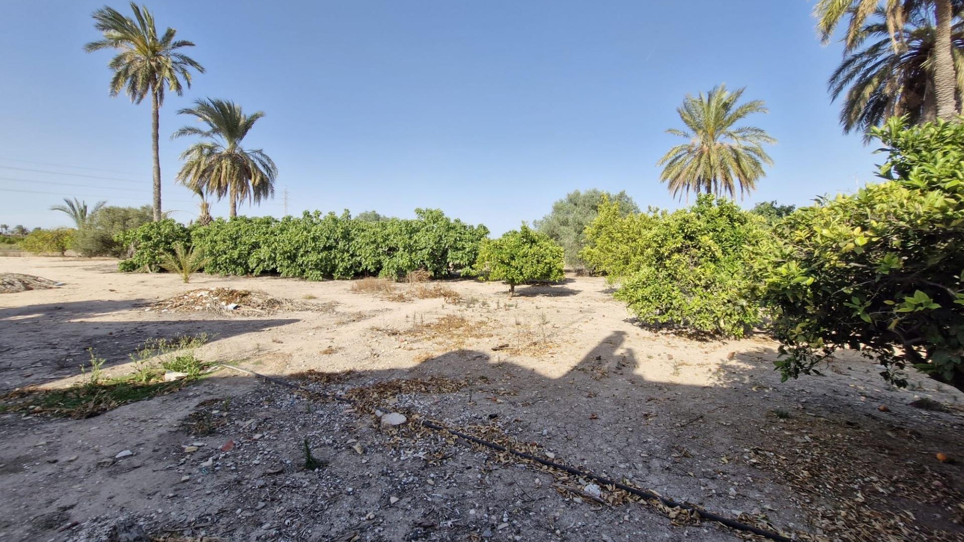 Sale - Finca Country Property -
Elche