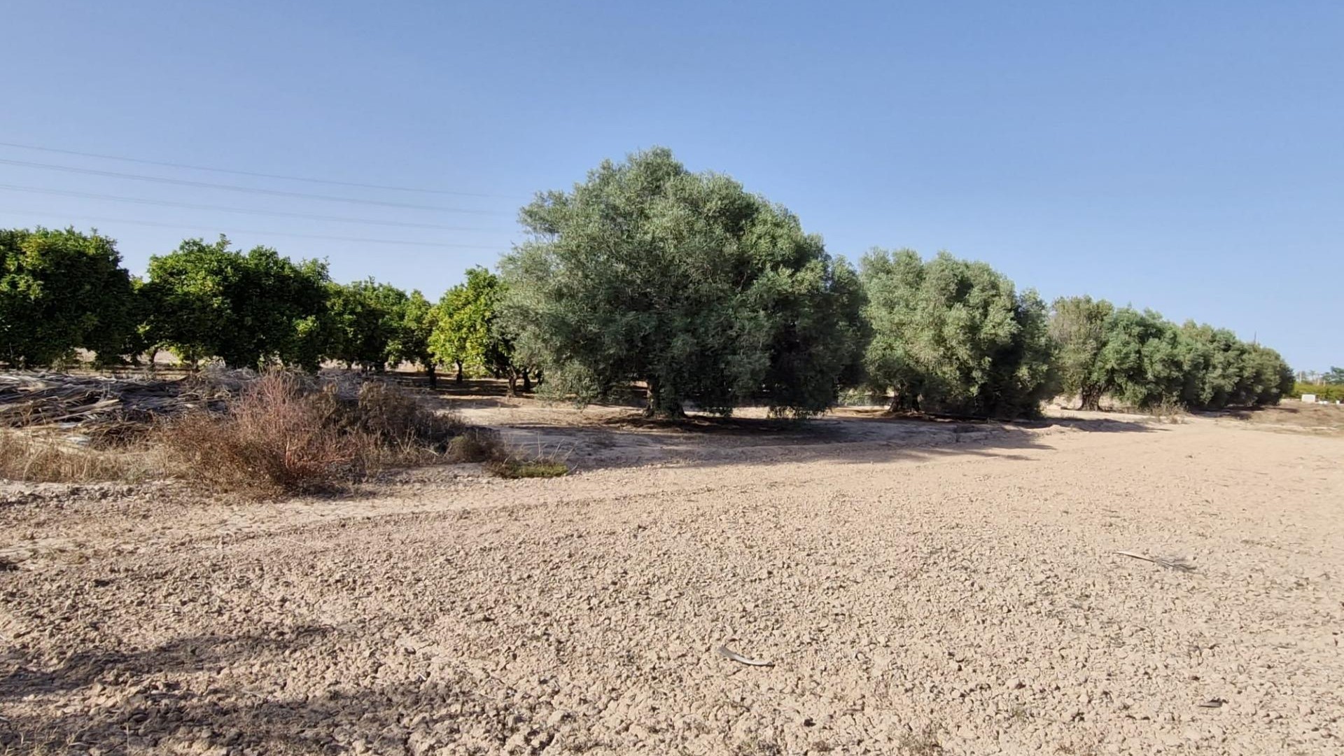 Sale - Finca Country Property -
Elche