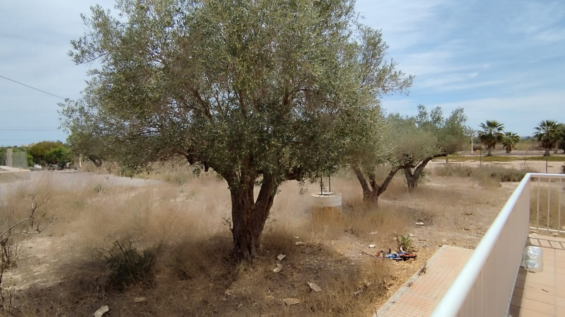 Sale - Finca Country Property -
Elche